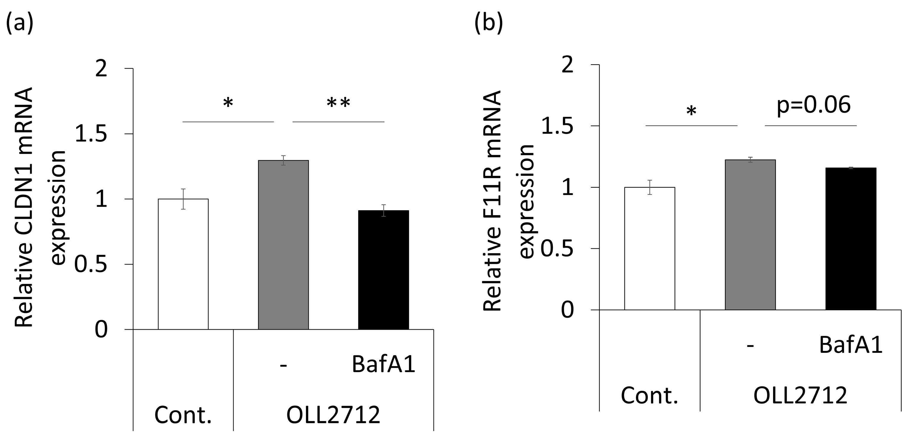 Nutrients 15 02655 g005 Nutrients 15 02655 g005