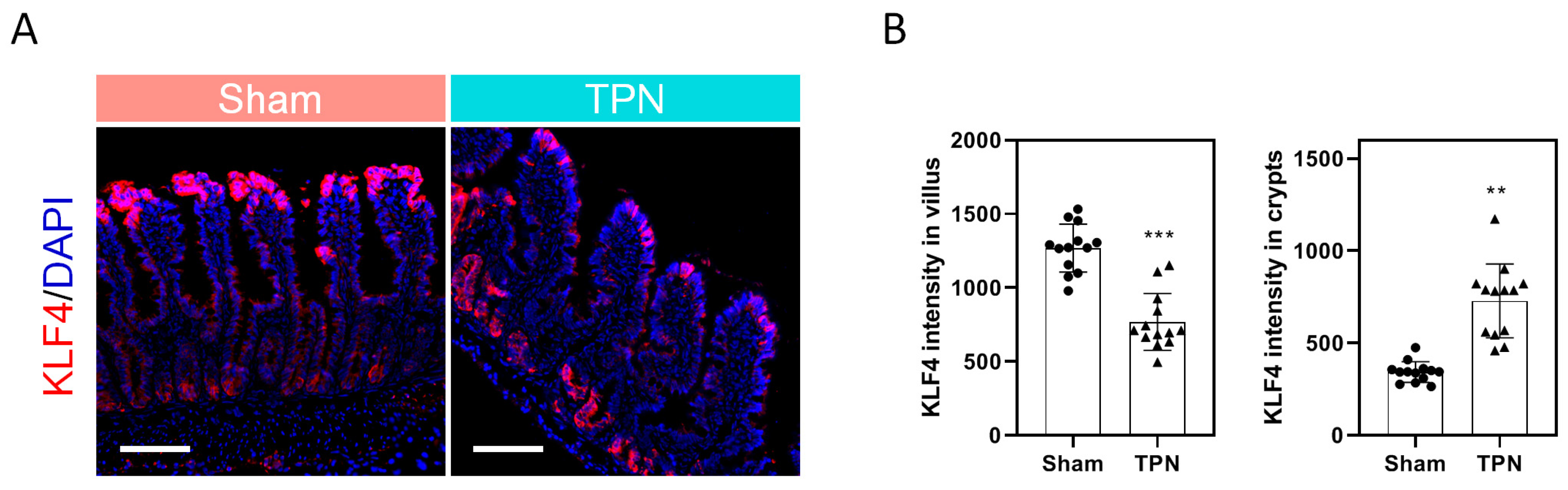Nutrients 15 02660 g003