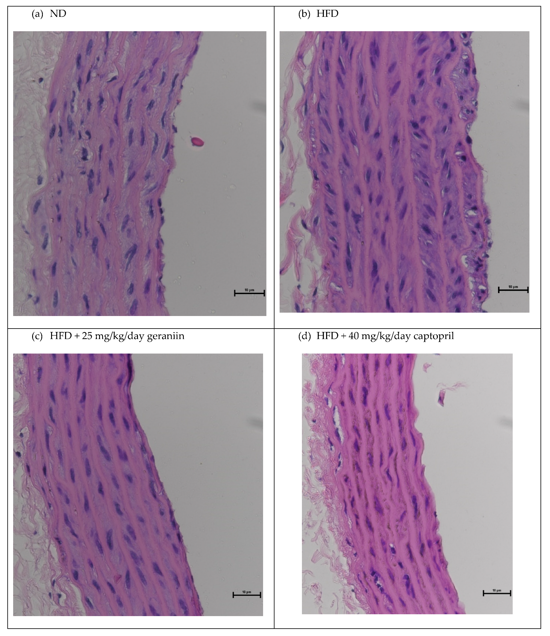 Nutrients 15 02696 g003 Nutrients 15 02696 g003