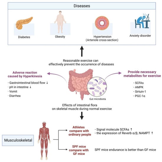 Nutrients | Free Full-Text | Effects of Diet and Exercise on Circadian ...