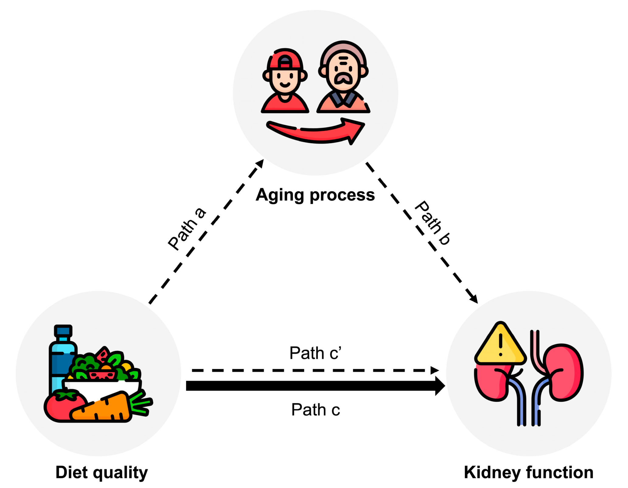Nutrients 15 02744 g002 Nutrients 15 02744 g002
