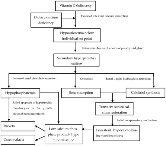 Vitamin D Toxicity - Symptoms, Diagnosis, Treatment : Dr. Zaidi