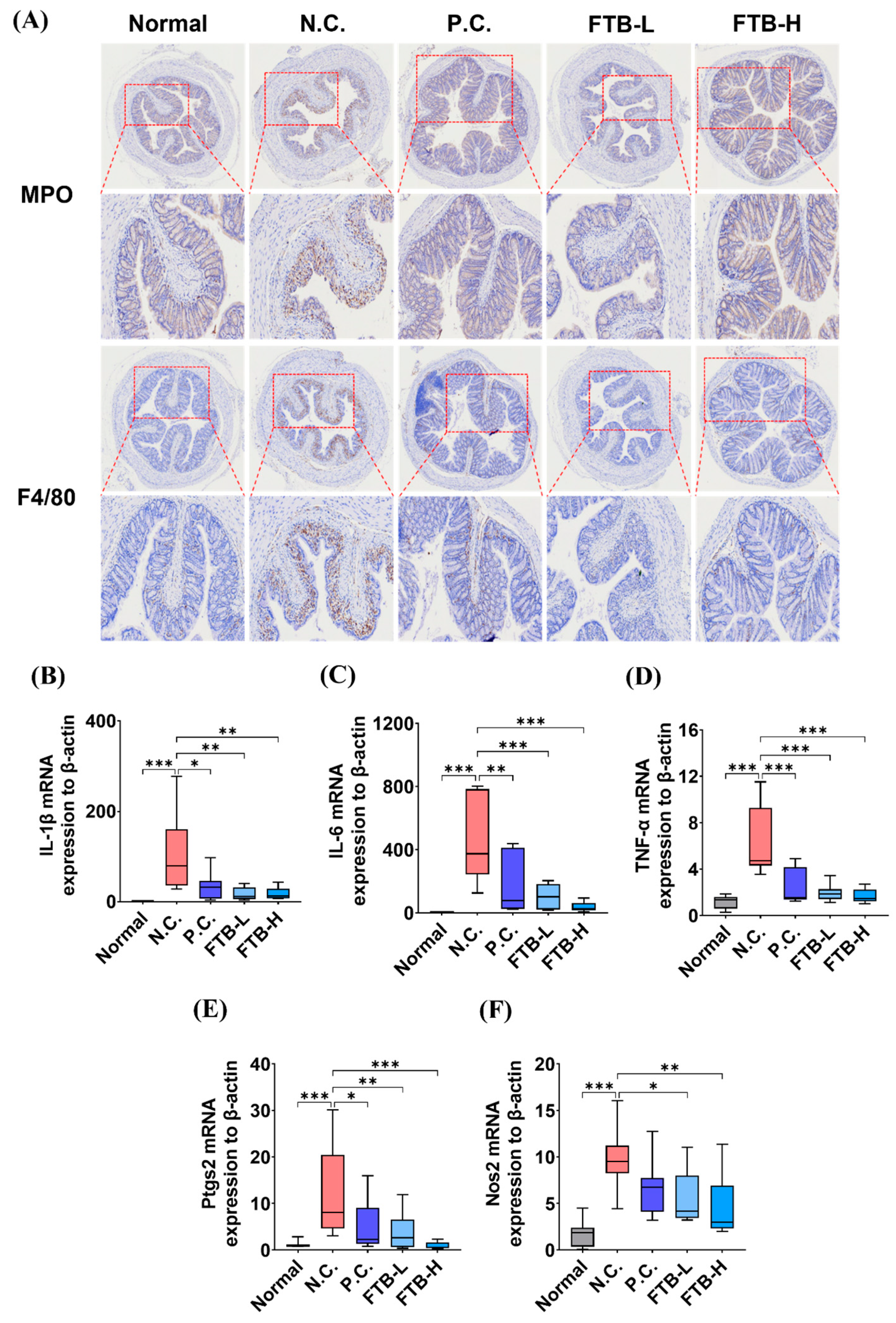 Nutrients | Free Full-Text | Hydroethanolic Extract of 