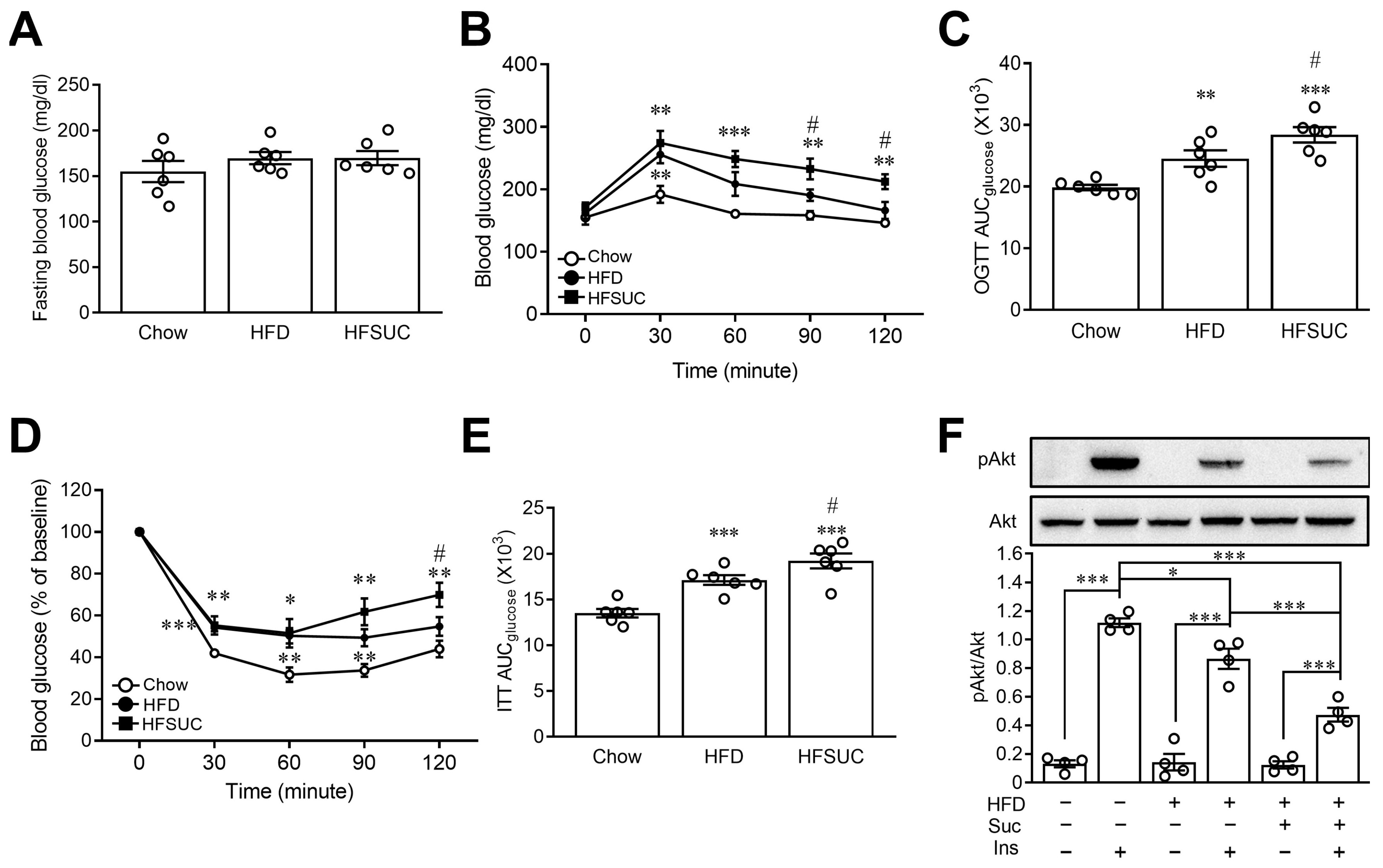 Nutrients 15 02814 g003 Nutrients 15 02814 g003