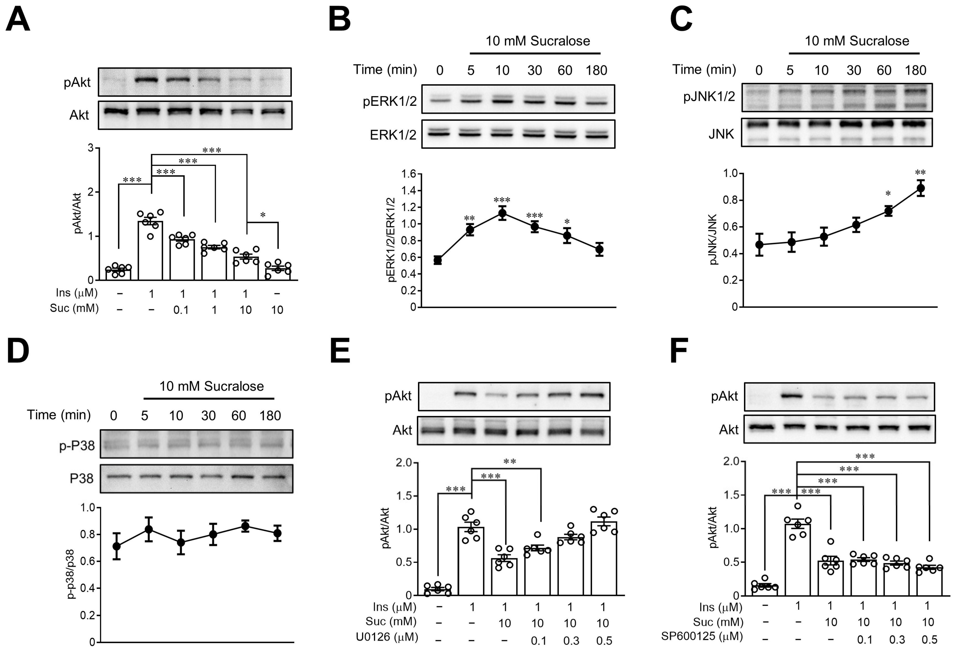 Nutrients 15 02814 g004 Nutrients 15 02814 g004
