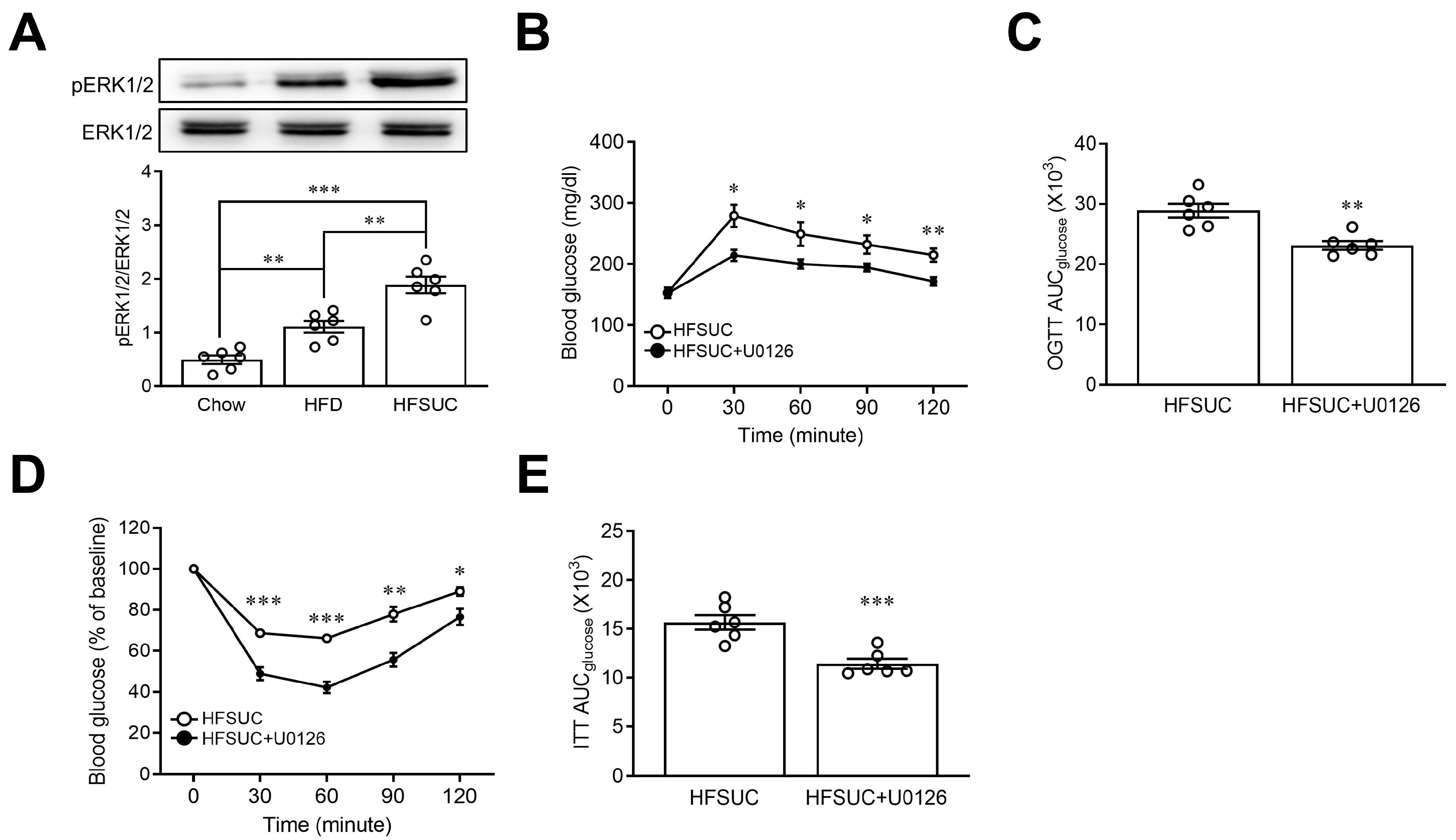 Nutrients 15 02814 g005 Nutrients 15 02814 g005