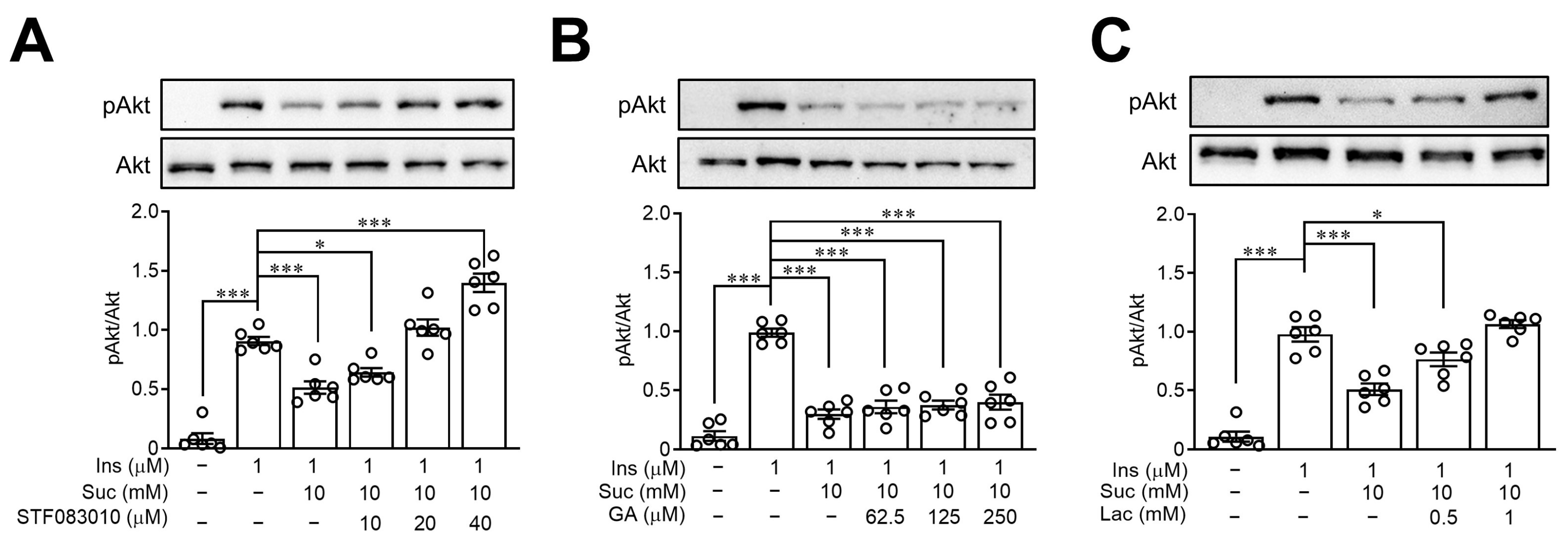Nutrients 15 02814 g006 Nutrients 15 02814 g006