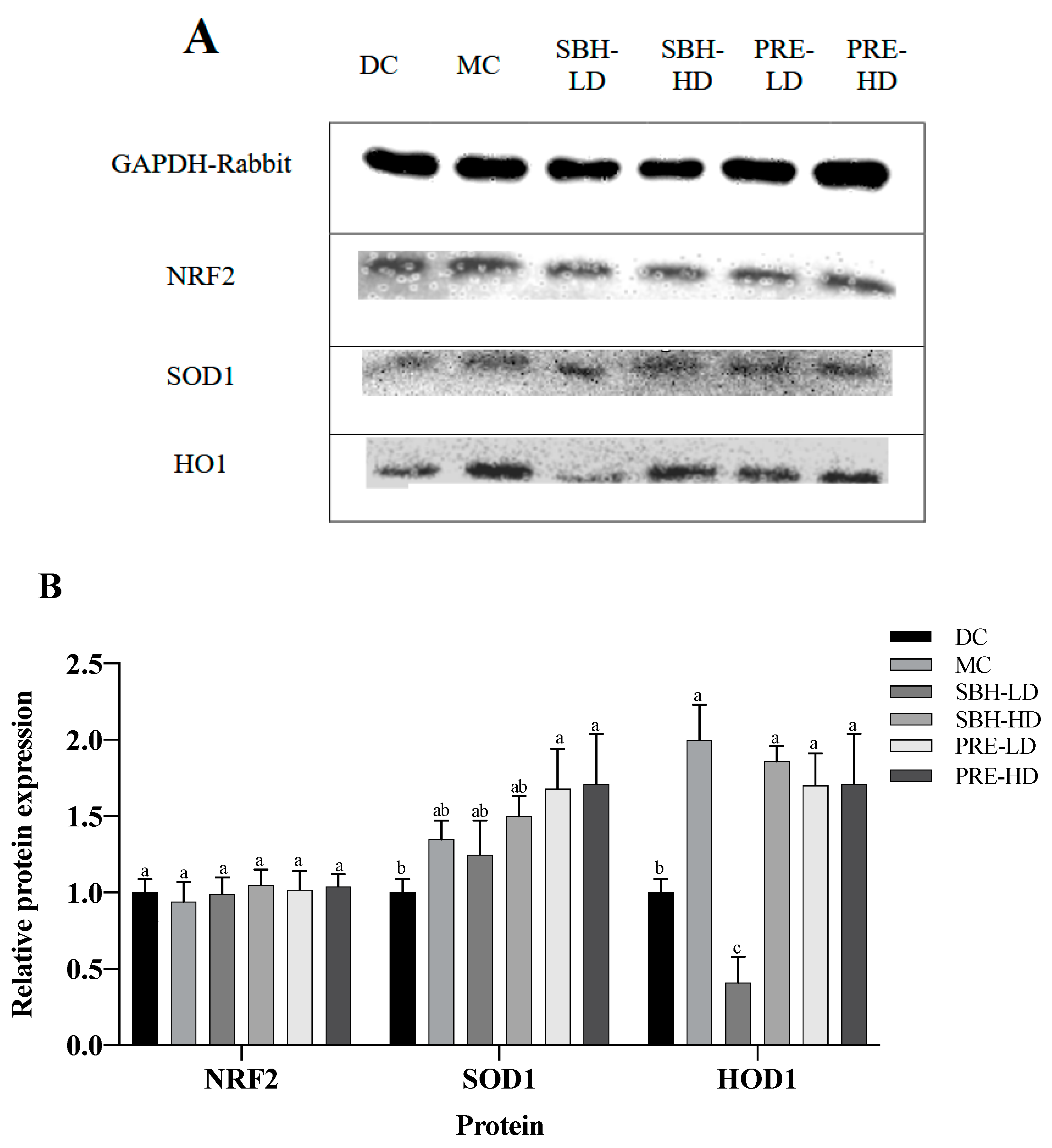Nutrients 15 02835 g005 Nutrients 15 02835 g005