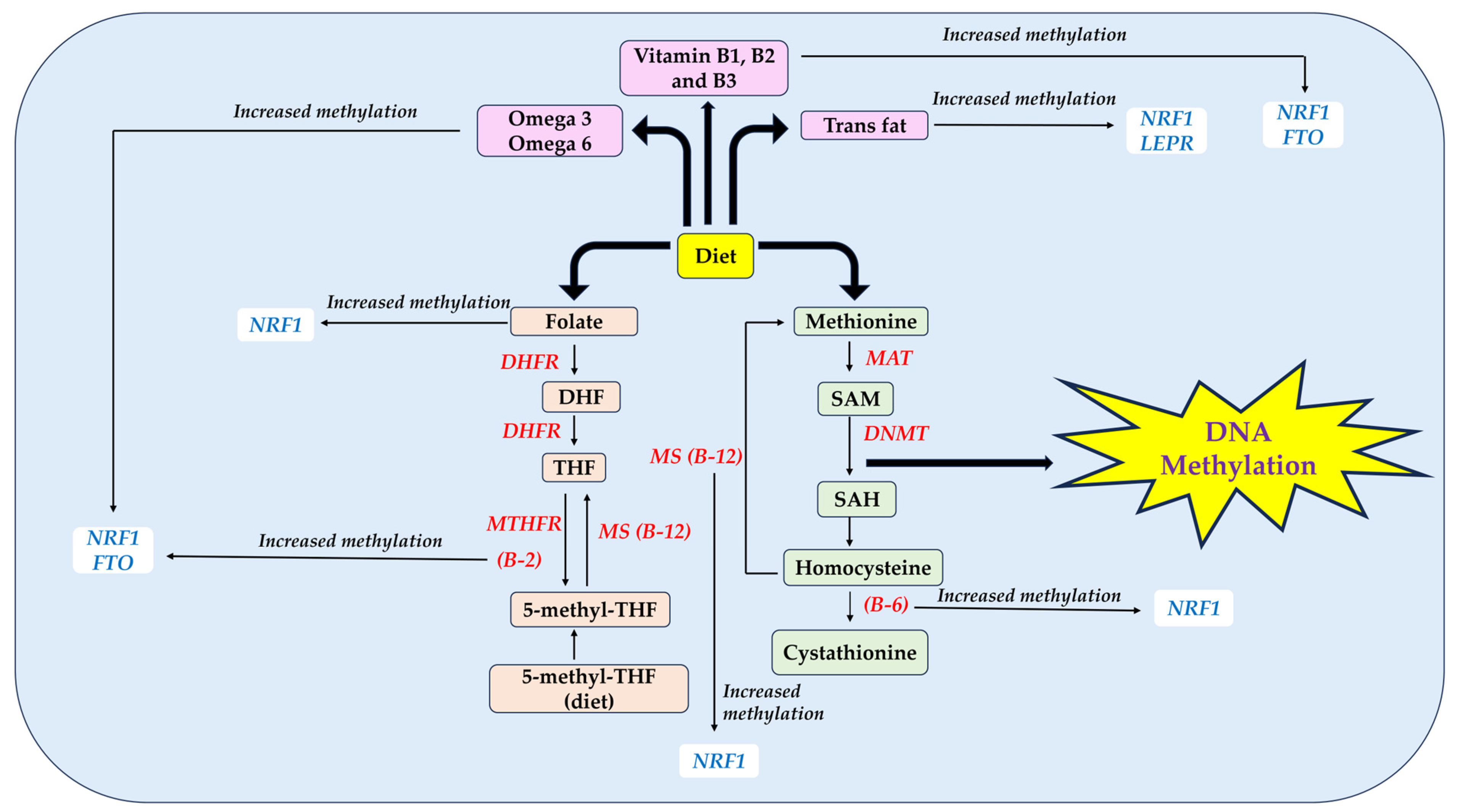 Nutrients 15 02840 g001