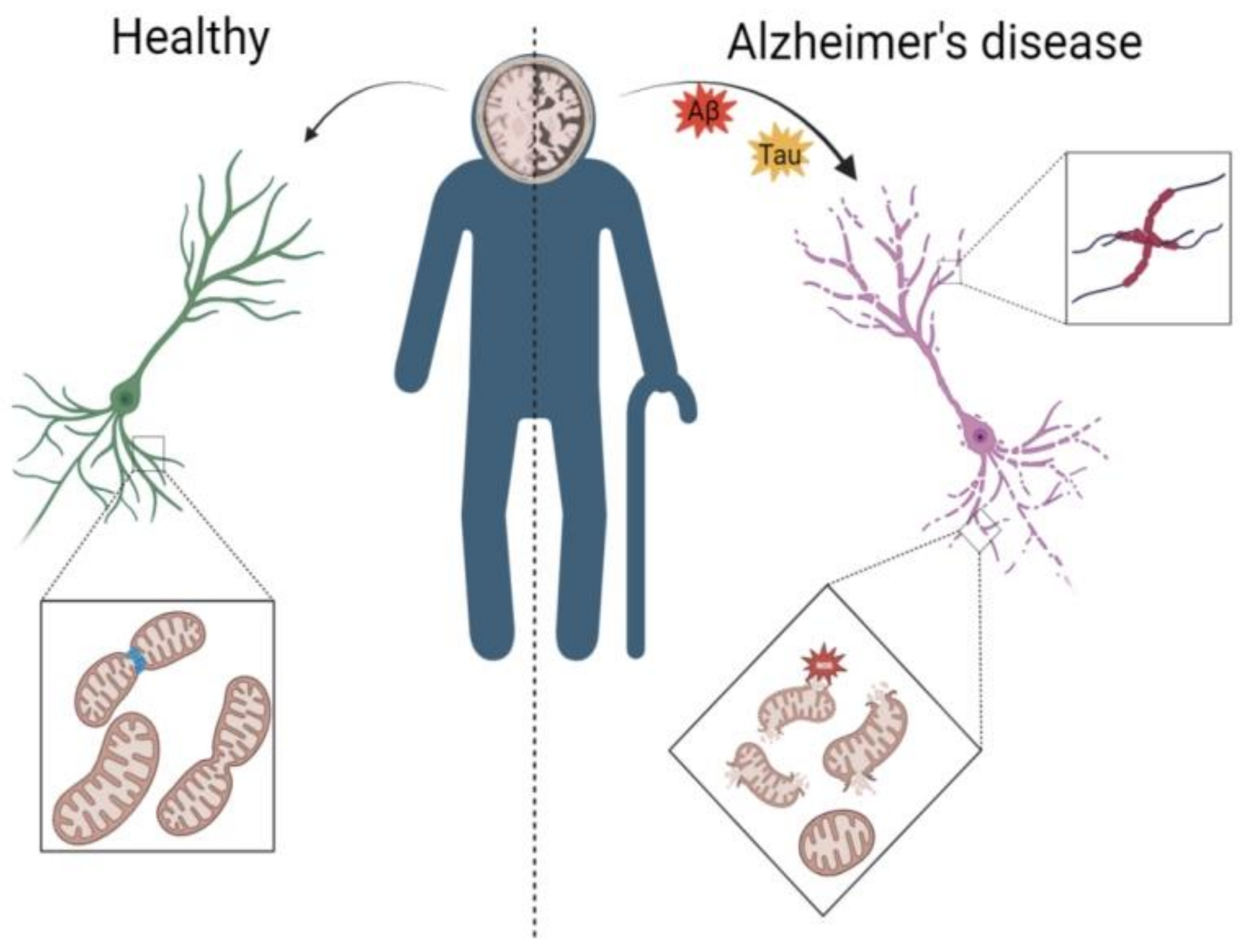 Nutrients 15 02851 g001