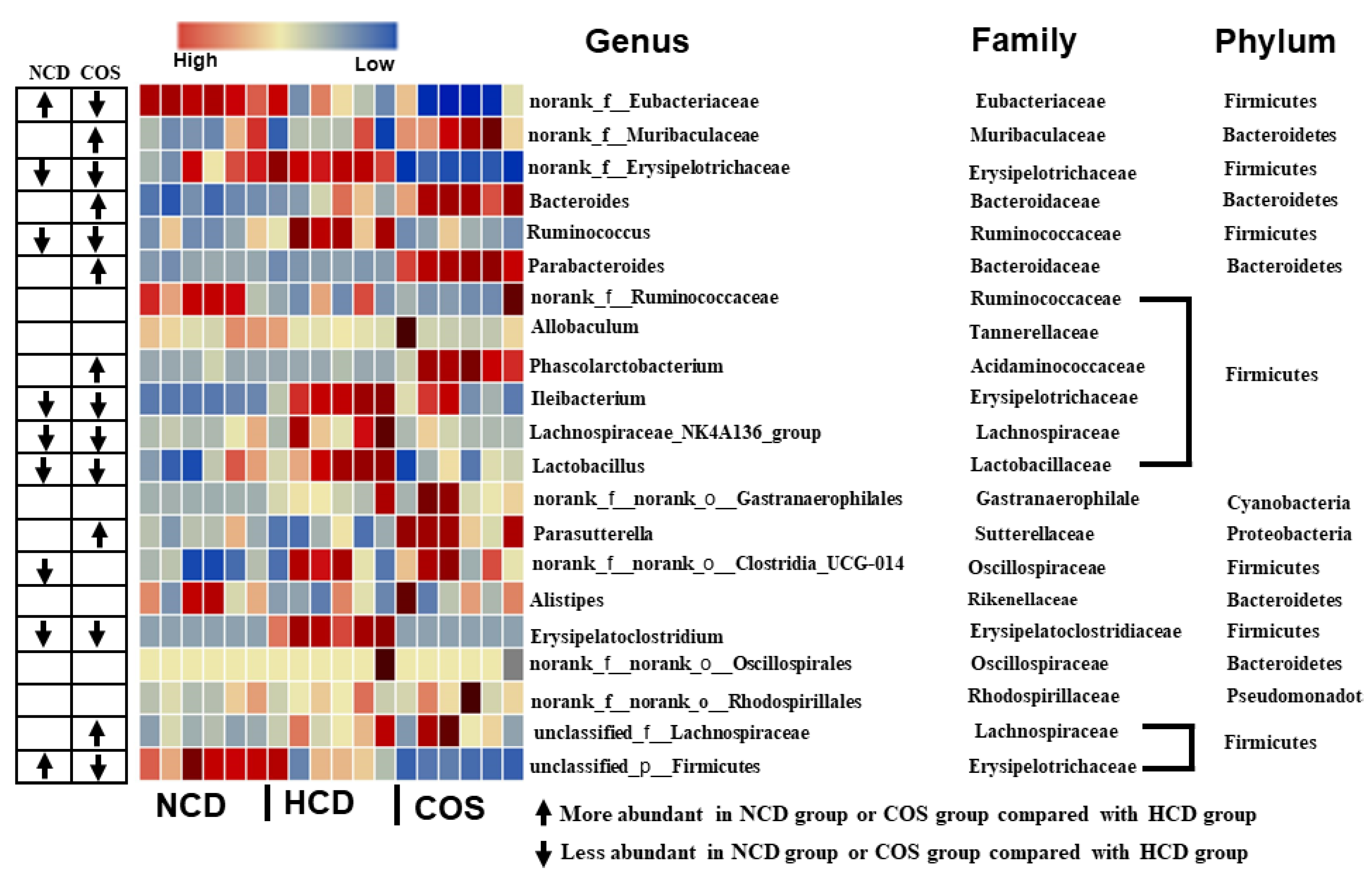 Nutrients 15 02923 g003 Nutrients 15 02923 g003