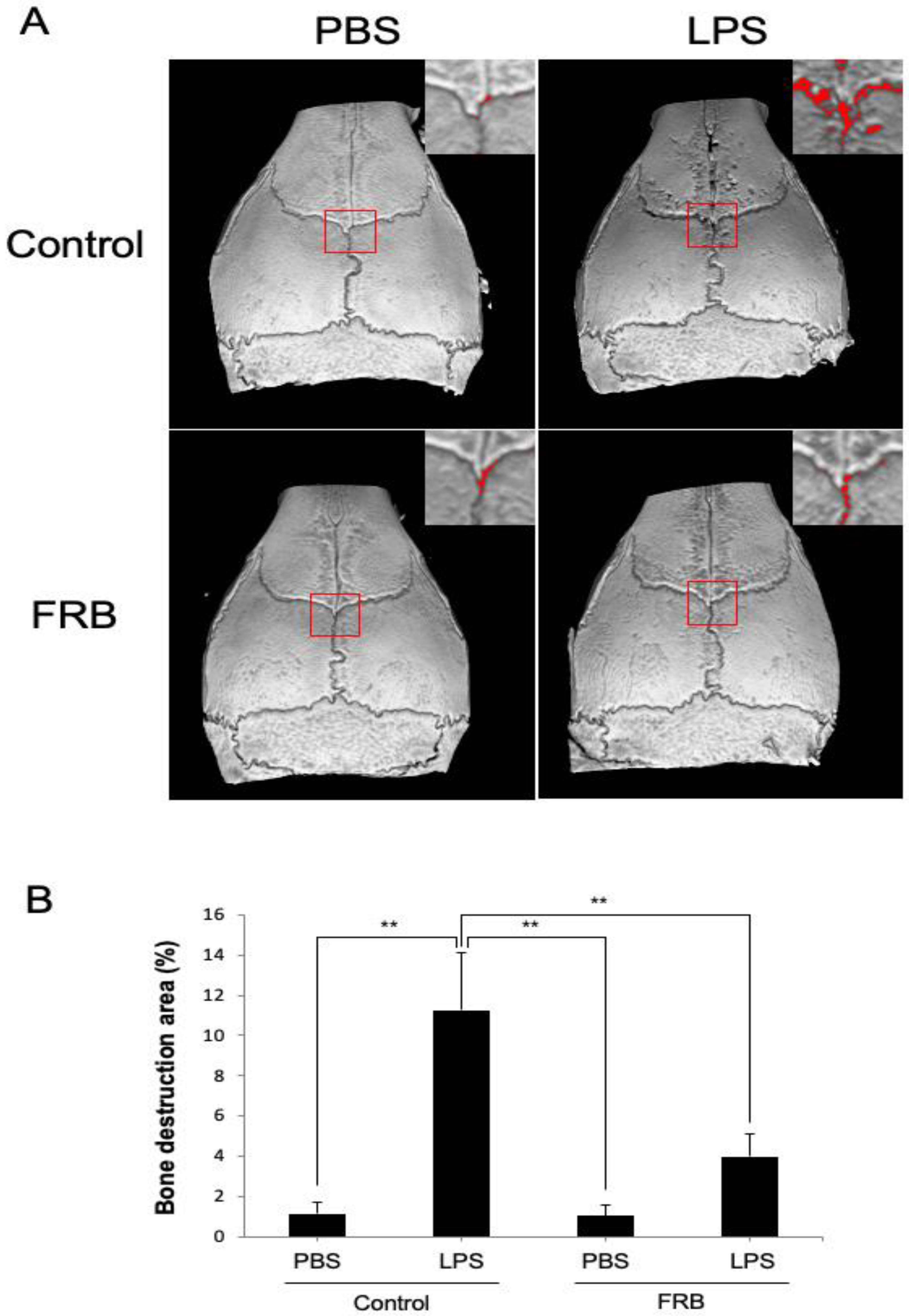 Nutrients 15 03044 g002 Nutrients 15 03044 g002