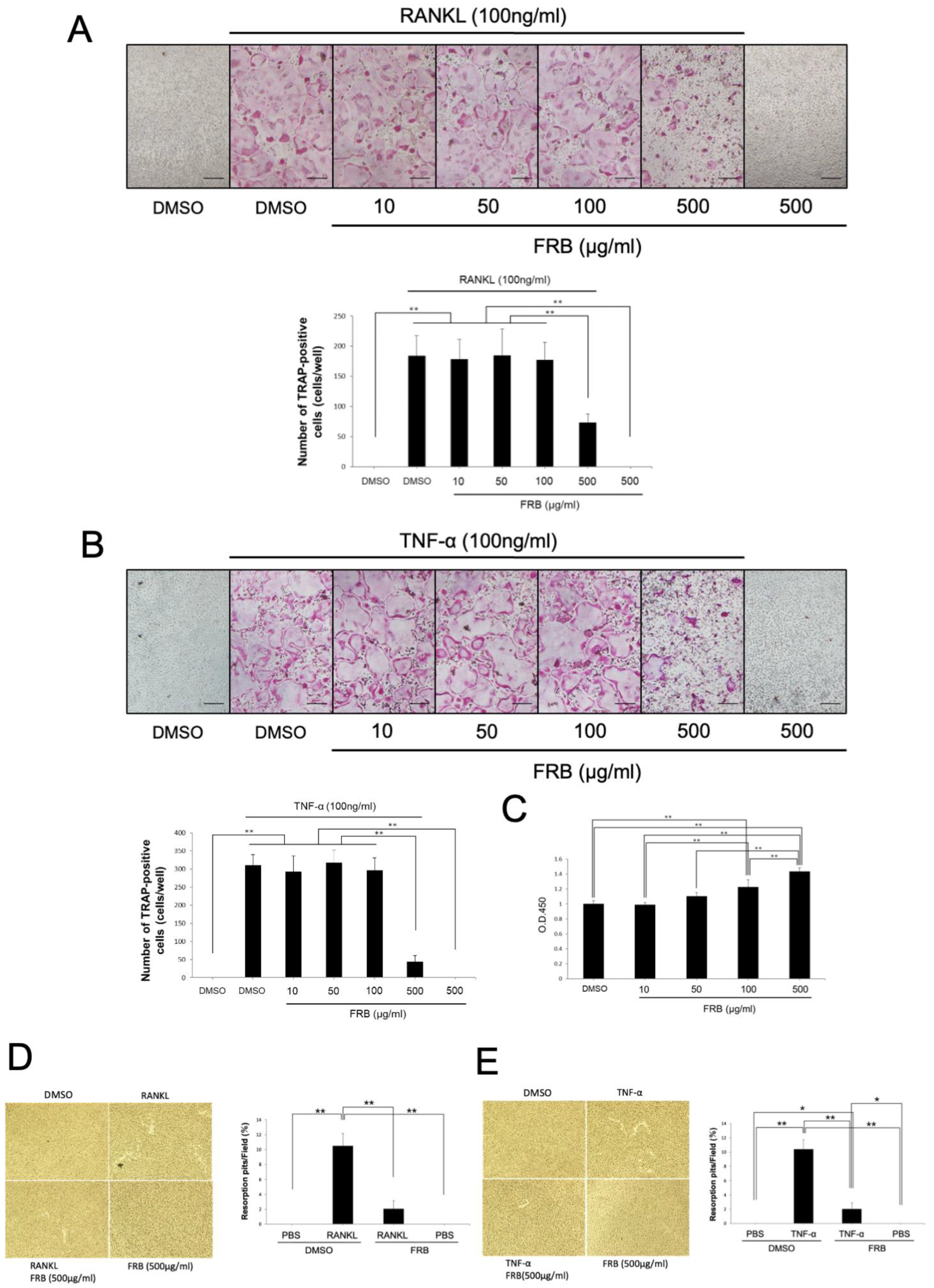 Nutrients 15 03044 g004 Nutrients 15 03044 g004