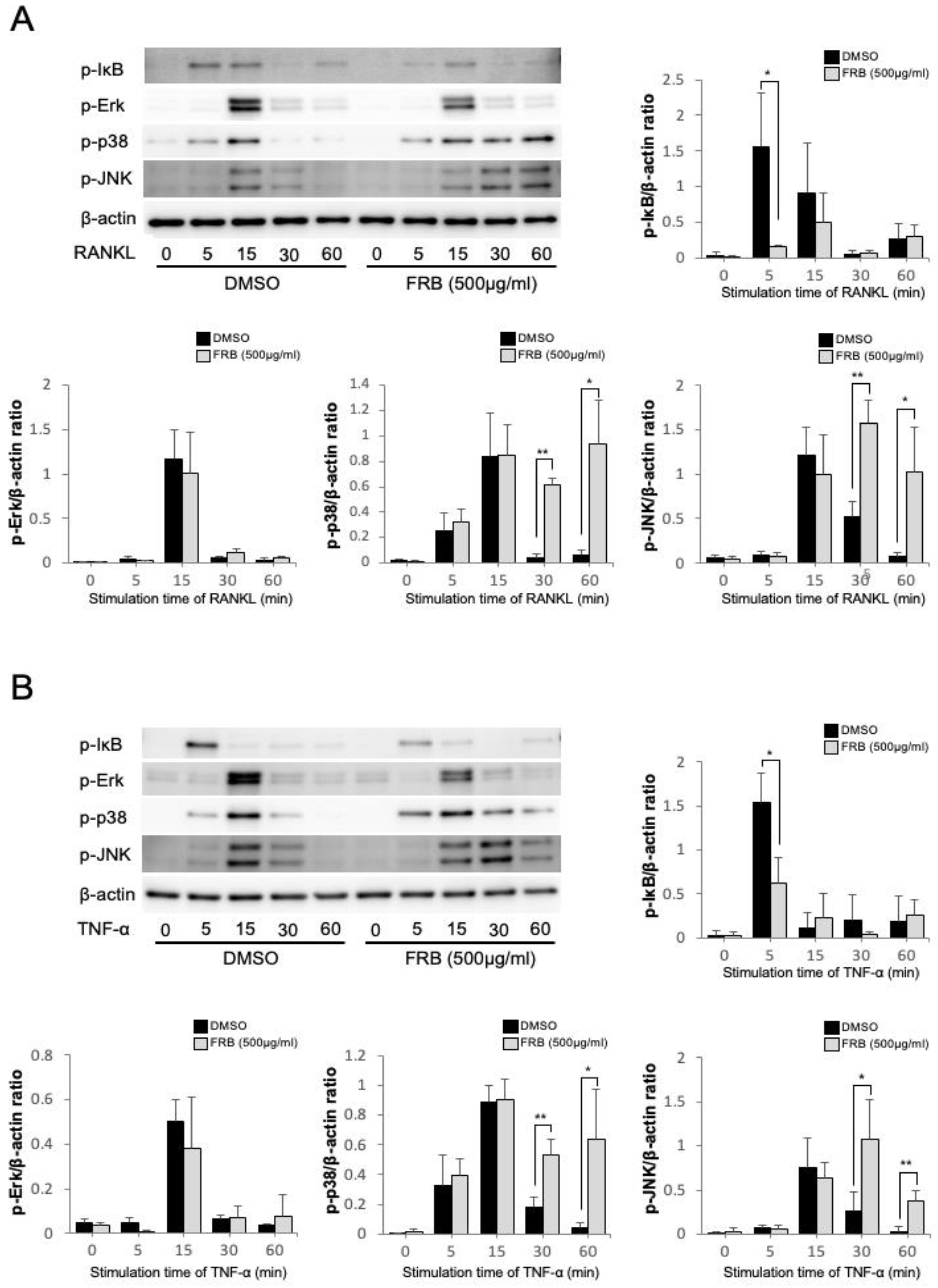 Nutrients 15 03044 g005 Nutrients 15 03044 g005