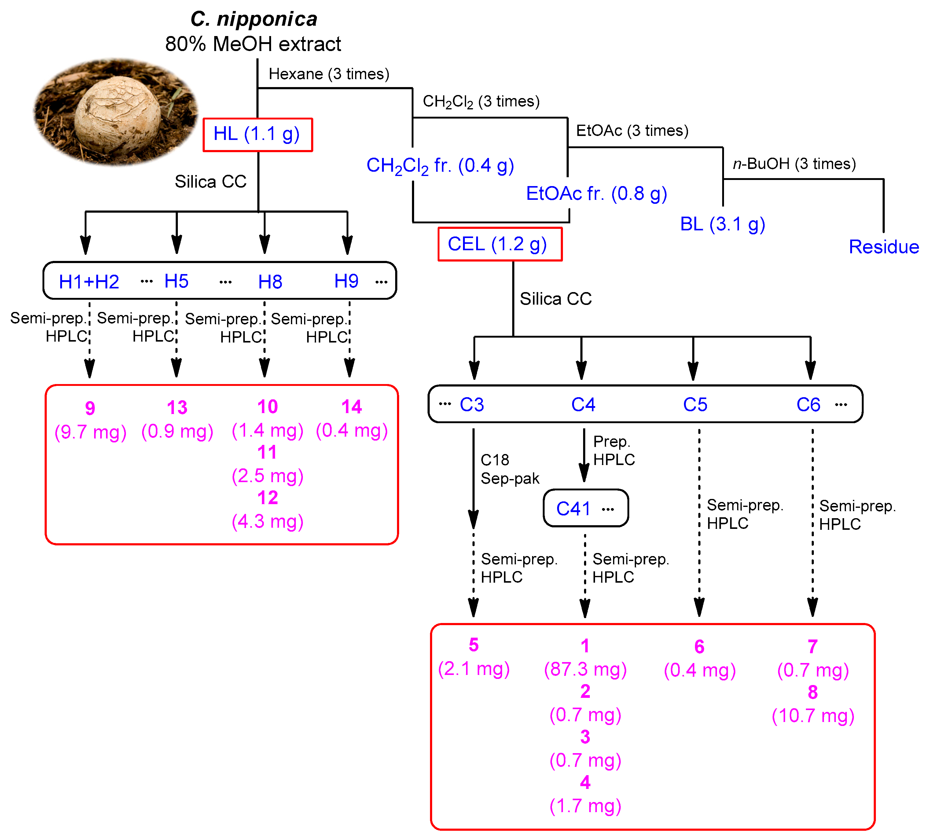 Nutrients 15 03091 g002 Nutrients 15 03091 g002