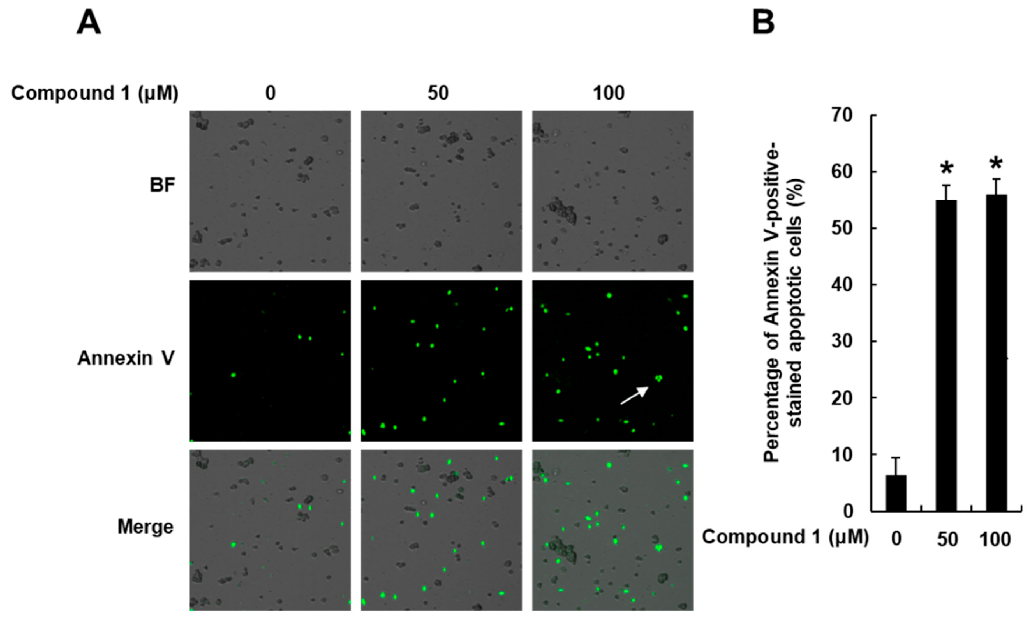 Nutrients 15 03091 g006 Nutrients 15 03091 g006