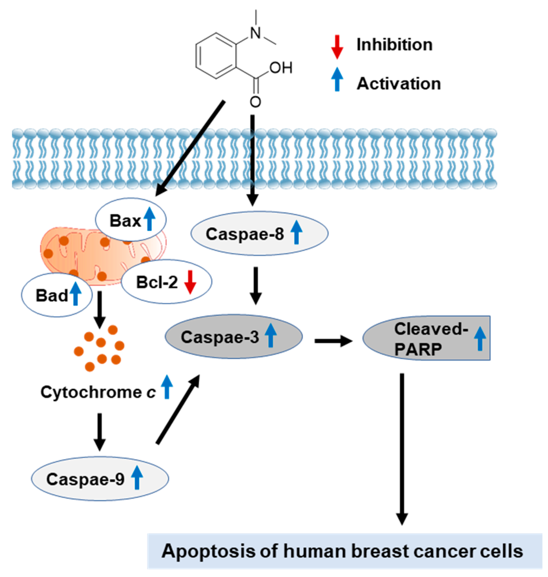 Nutrients 15 03091 g008 Nutrients 15 03091 g008