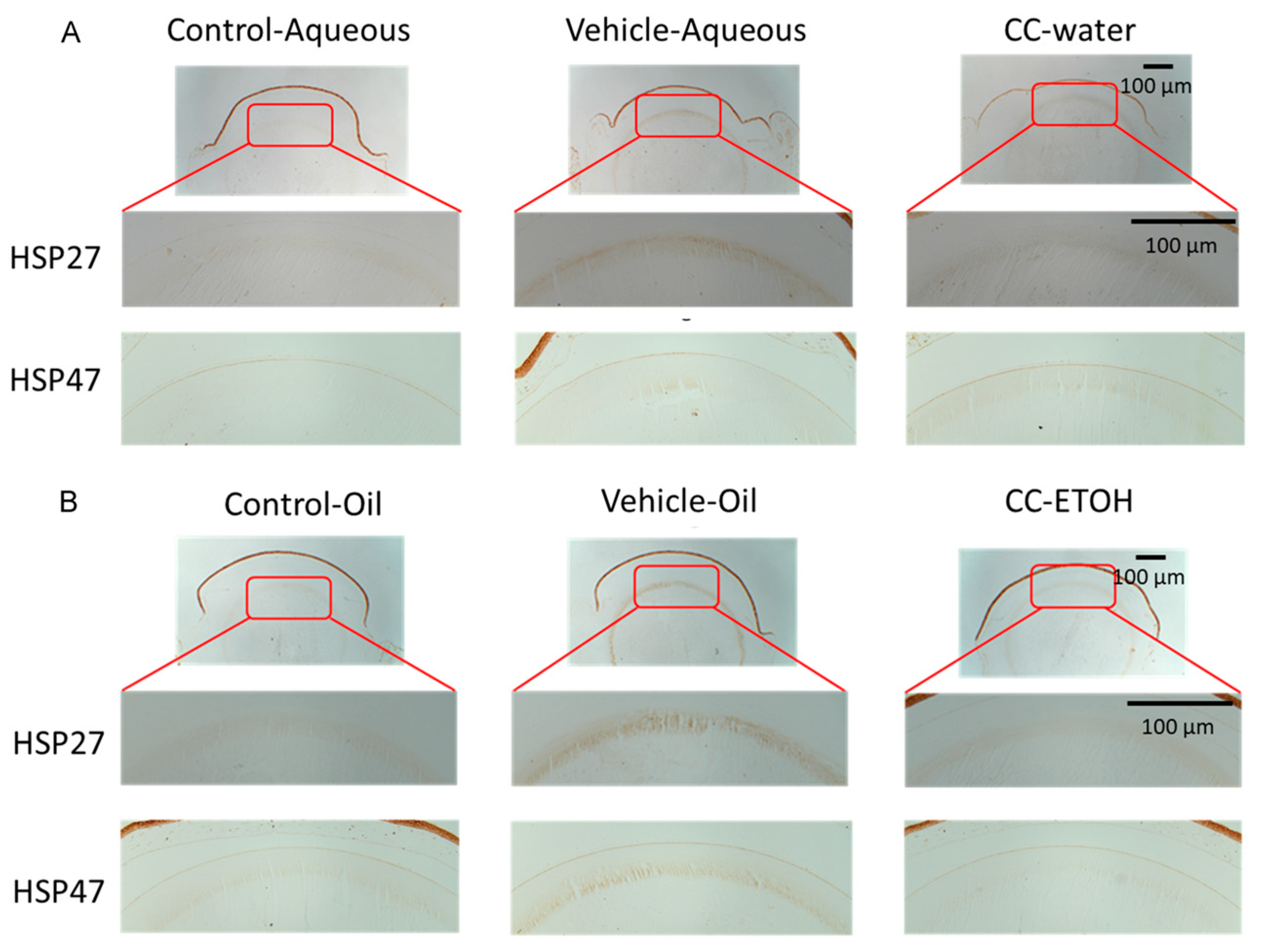 Nutrients 15 03103 g005