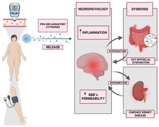 PDF) Neuro-Vulnerability in Energy Metabolism Regulation: A