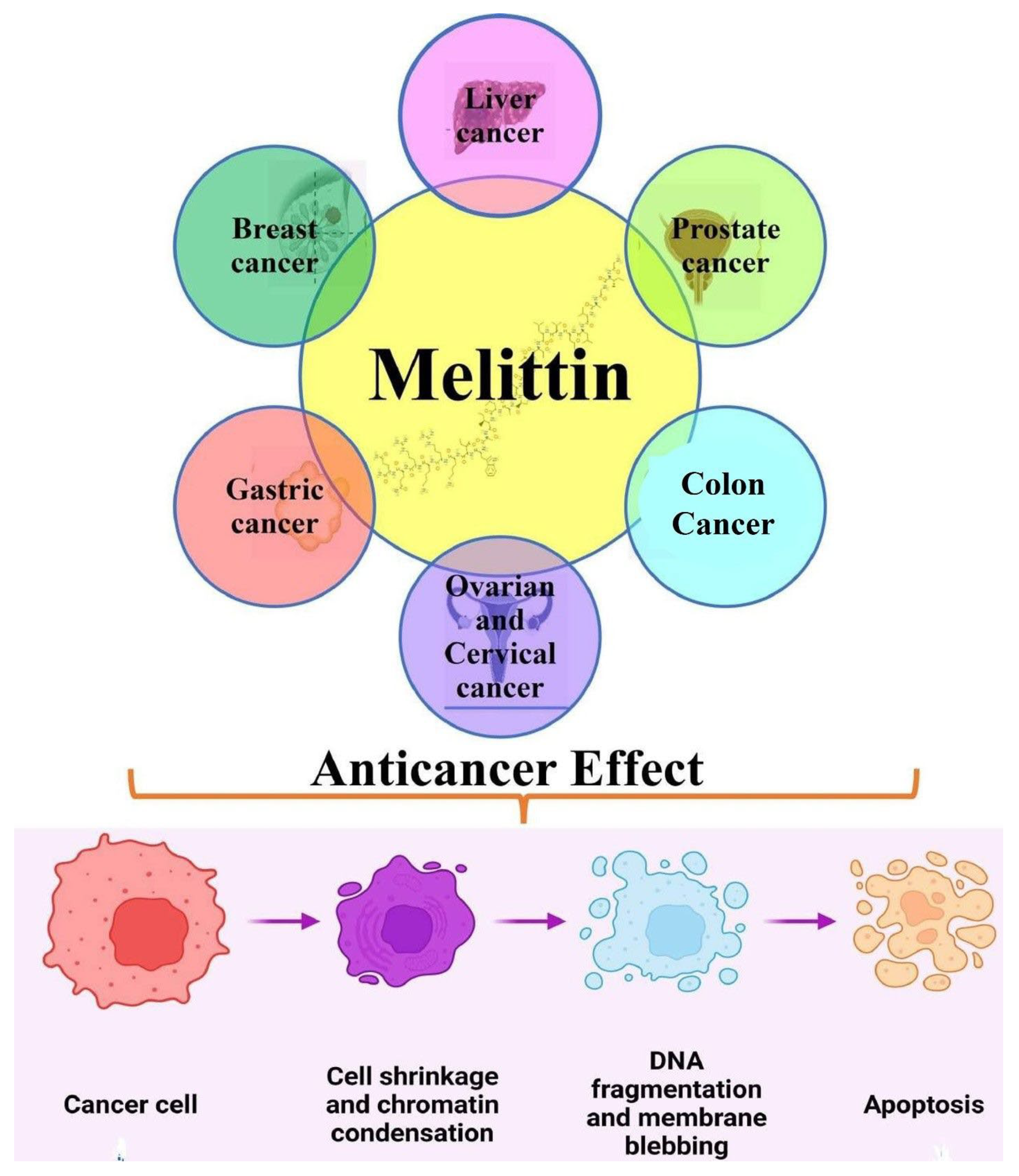 Nutrients 15 03111 g002 Nutrients 15 03111 g002