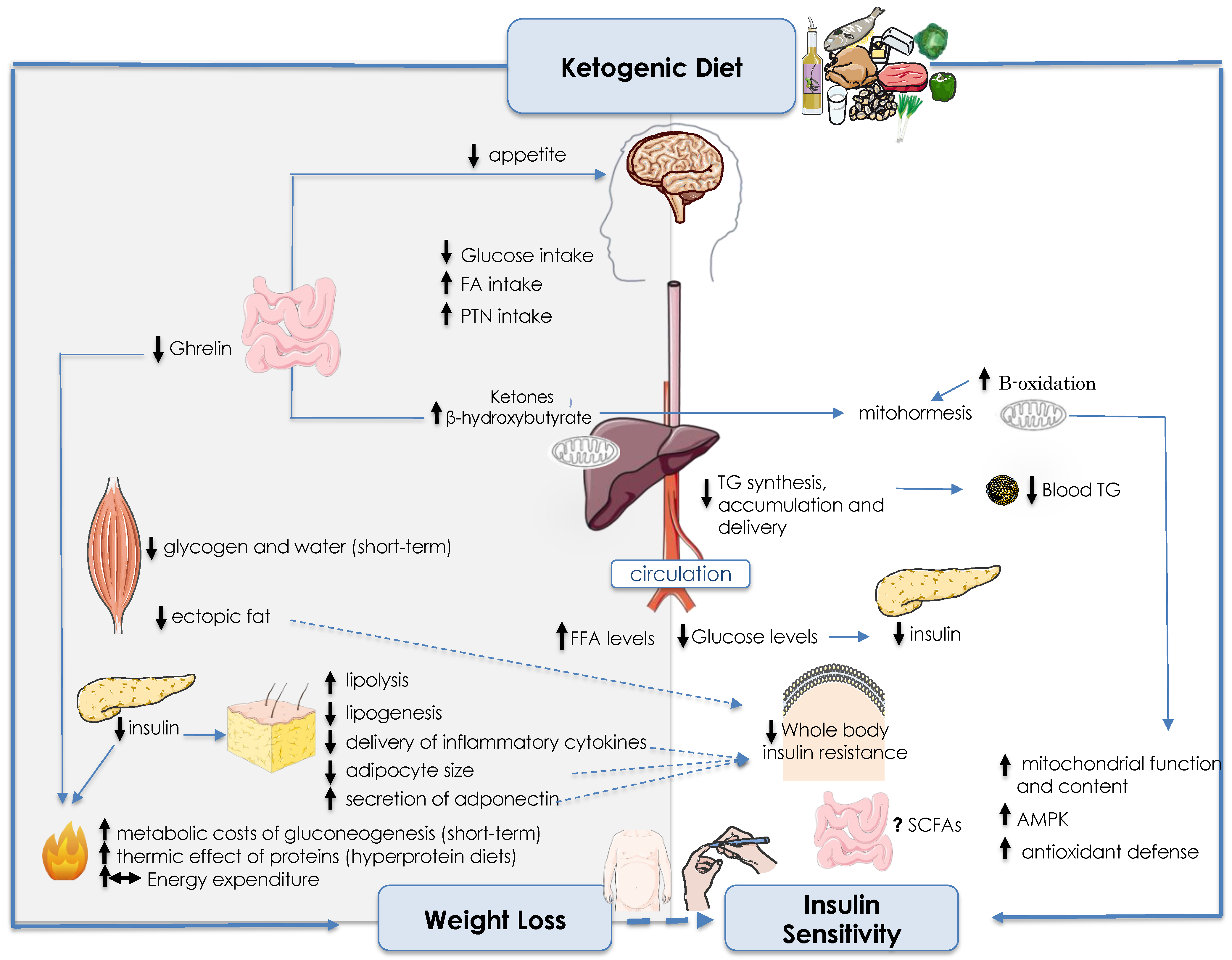 Nutrients 15 03120 g001