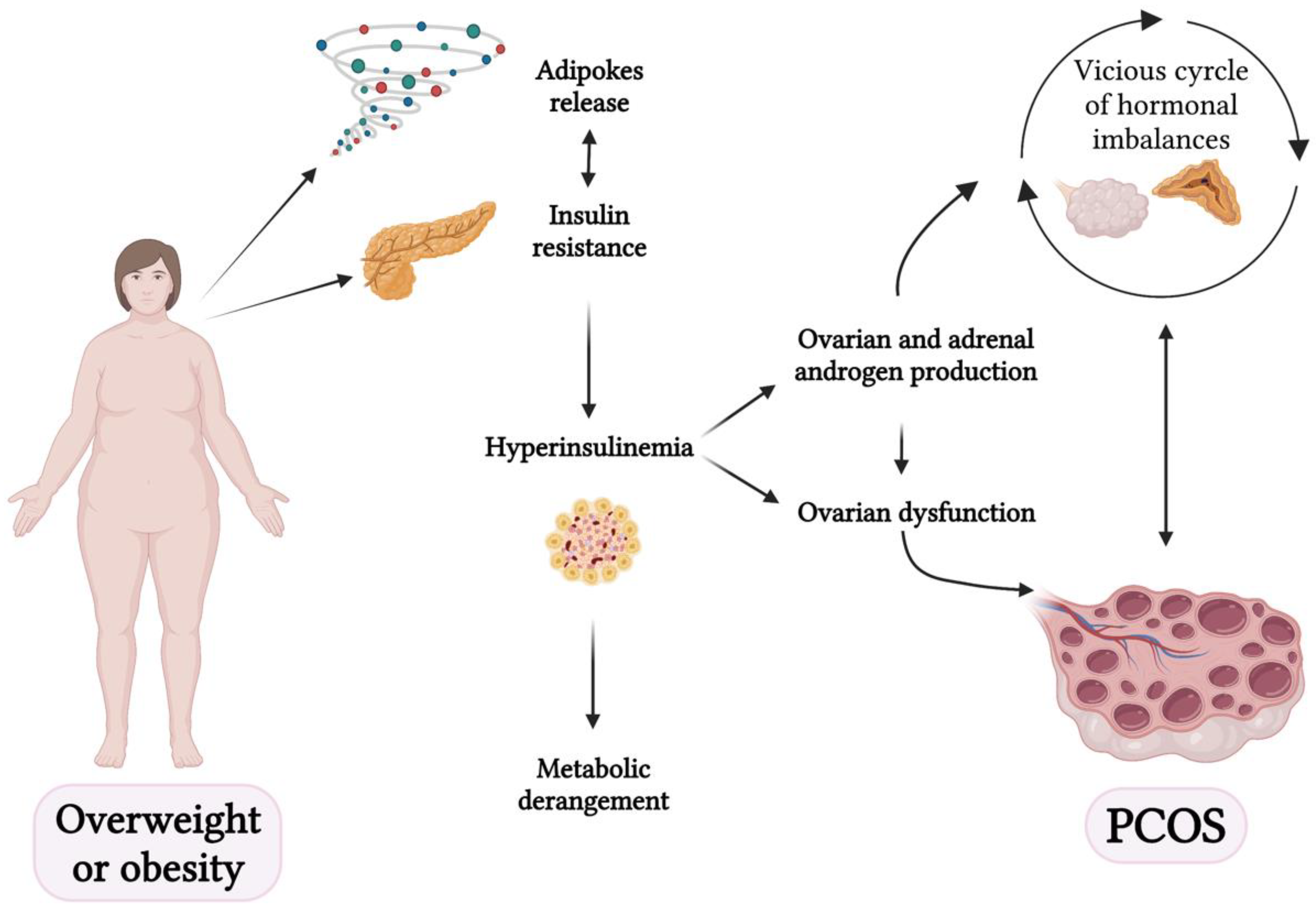 Nutrients 15 03144 g002 Nutrients 15 03144 g002