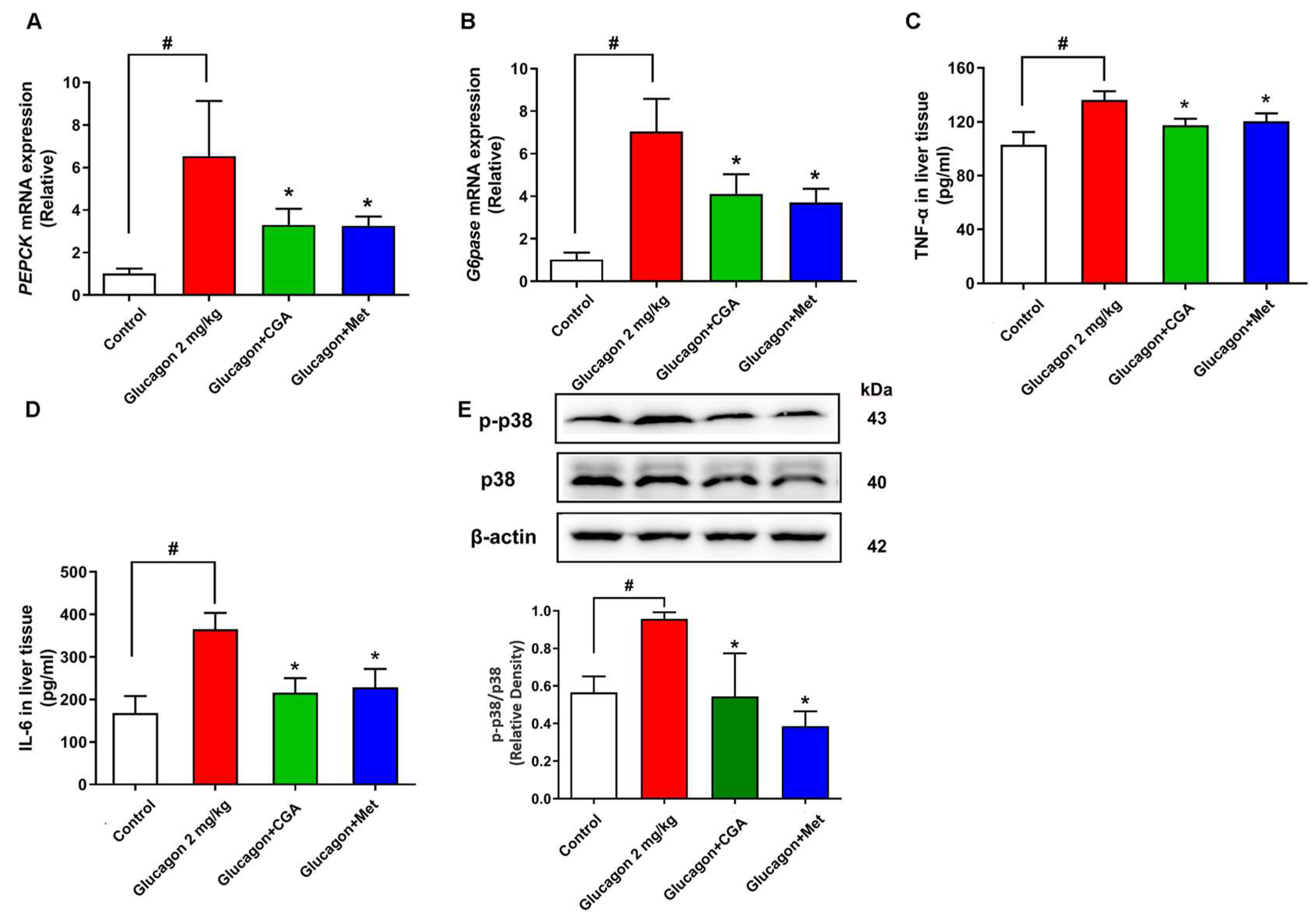 Nutrients 15 03173 g002 Nutrients 15 03173 g002