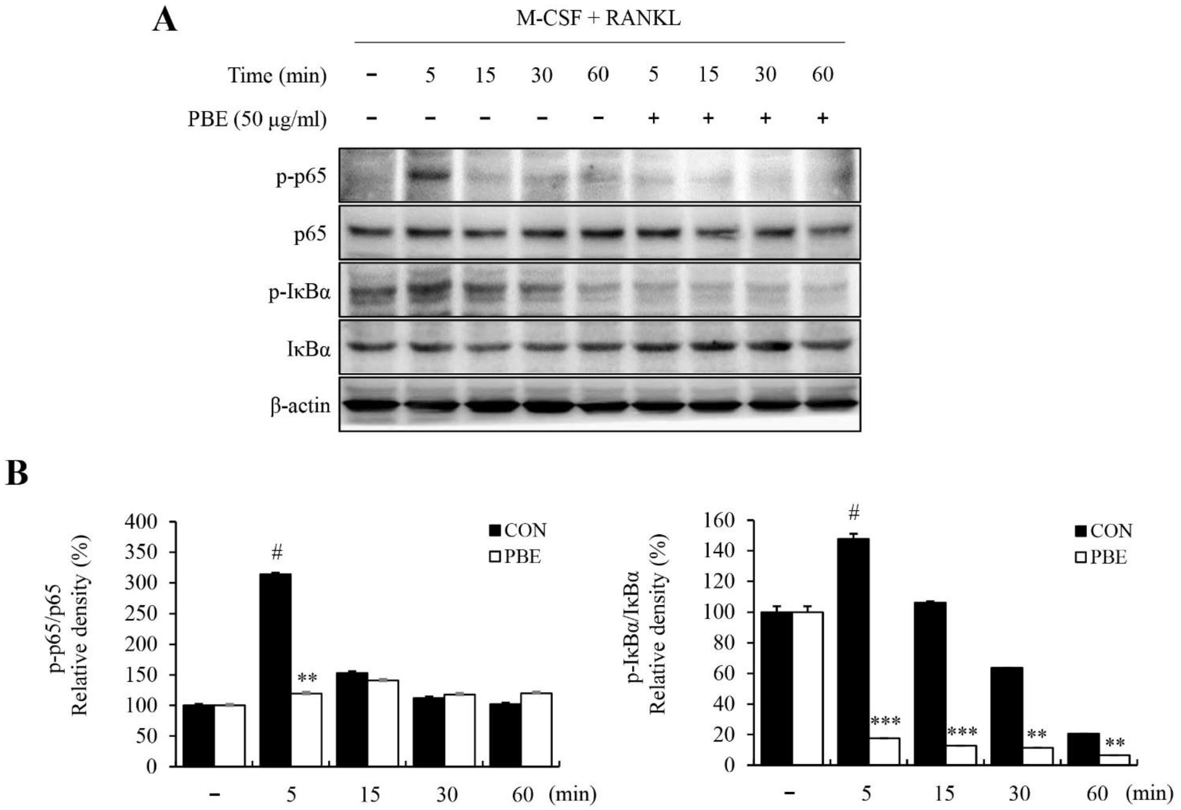 Nutrients 15 03193 g005 Nutrients 15 03193 g005