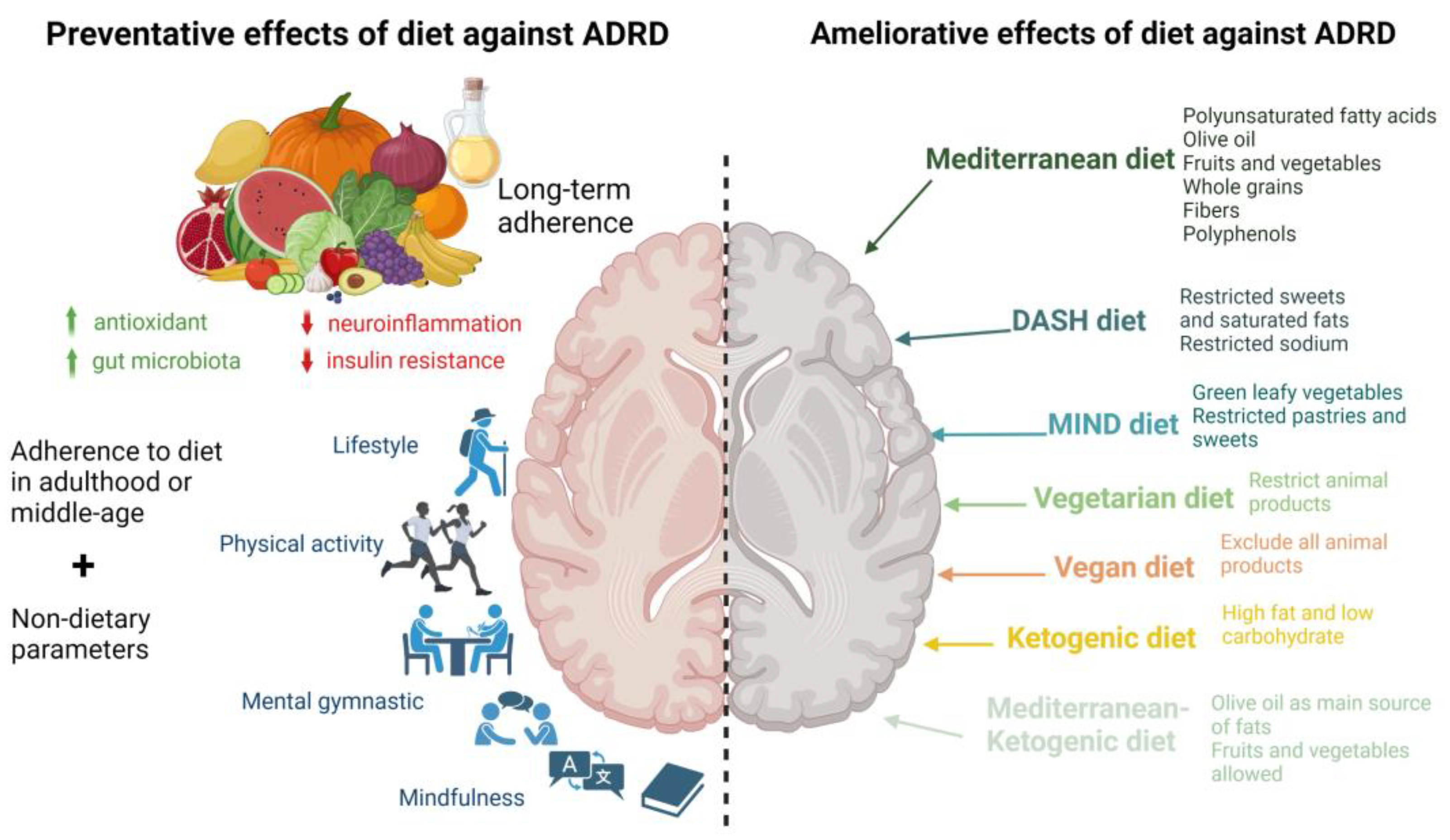 Alzheimer's disease: Can time-restricted eating improve symptoms?