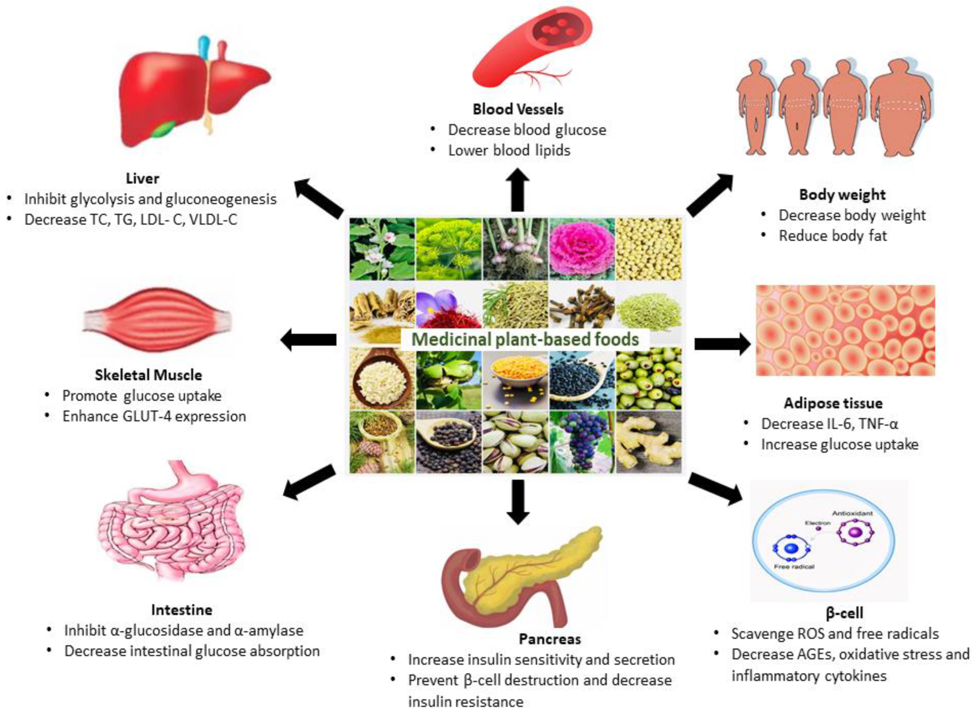 https://www.mdpi.com/nutrients/nutrients-15-03266/article_deploy/html/images/nutrients-15-03266-g001.png