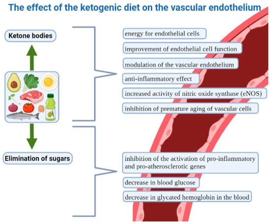 https://www.mdpi.com/nutrients/nutrients-15-03368/article_deploy/html/images/nutrients-15-03368-g002-550.jpg