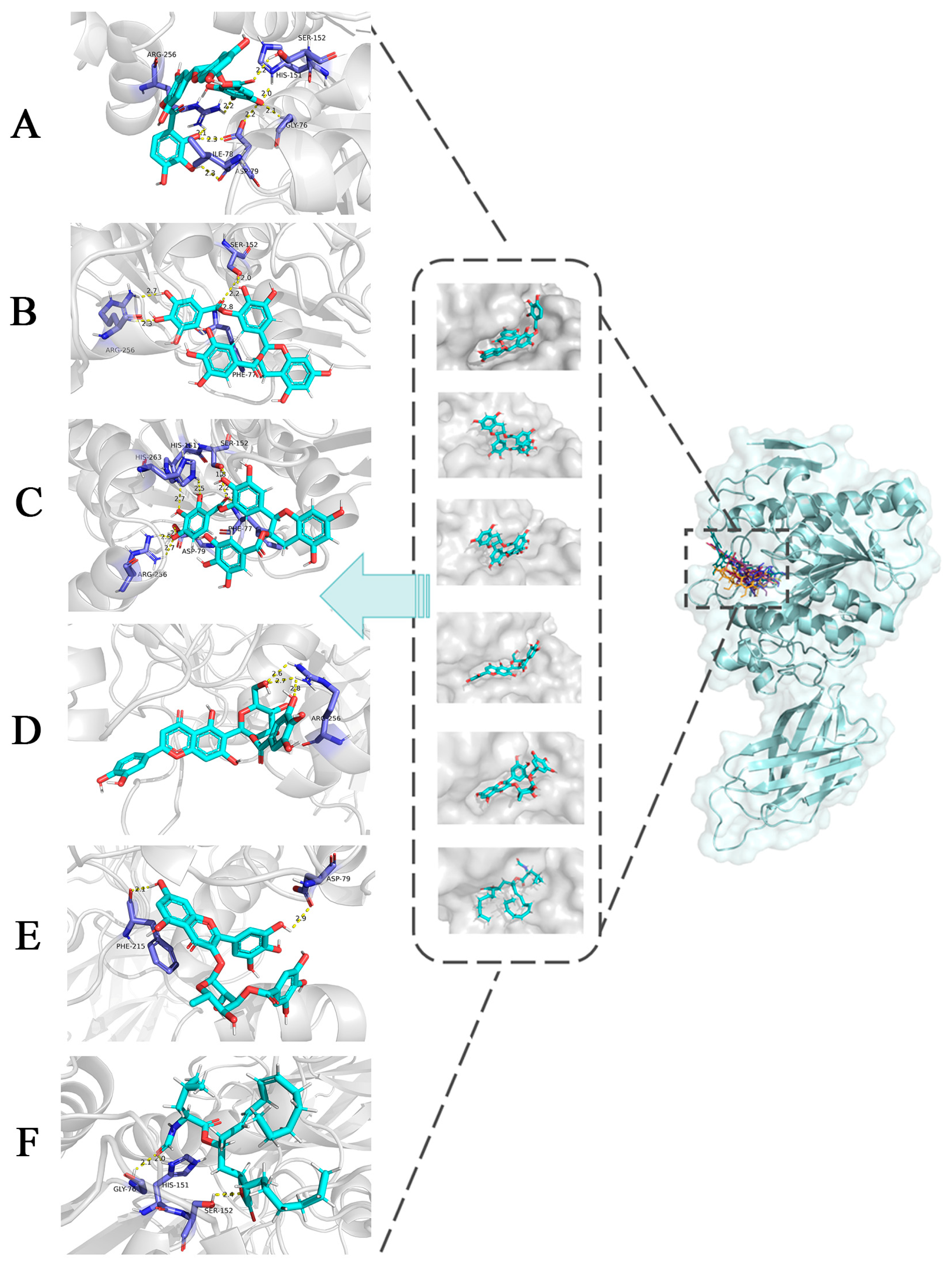 Nutrients 15 03489 g005 Nutrients 15 03489 g005