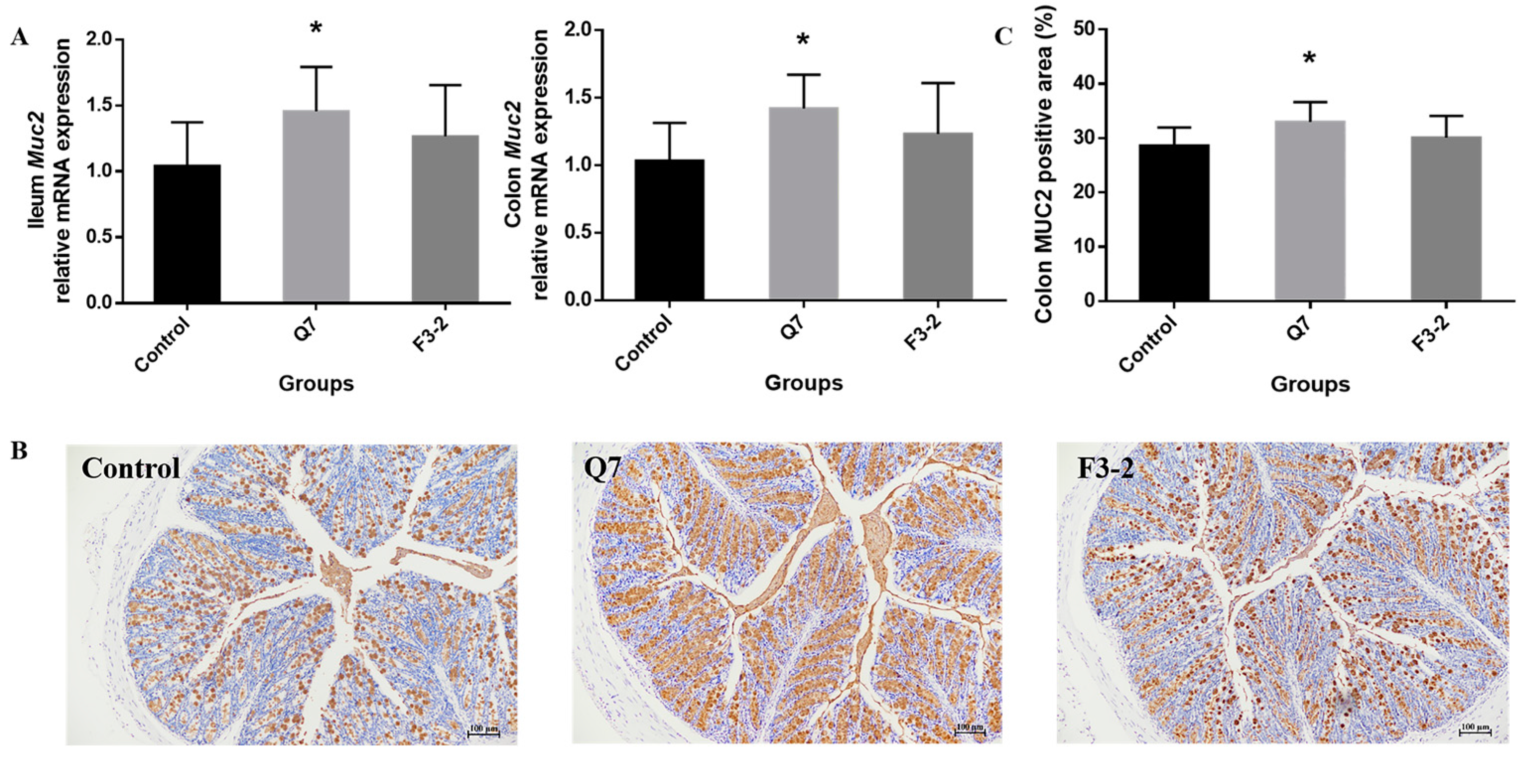 Nutrients 15 03518 g002