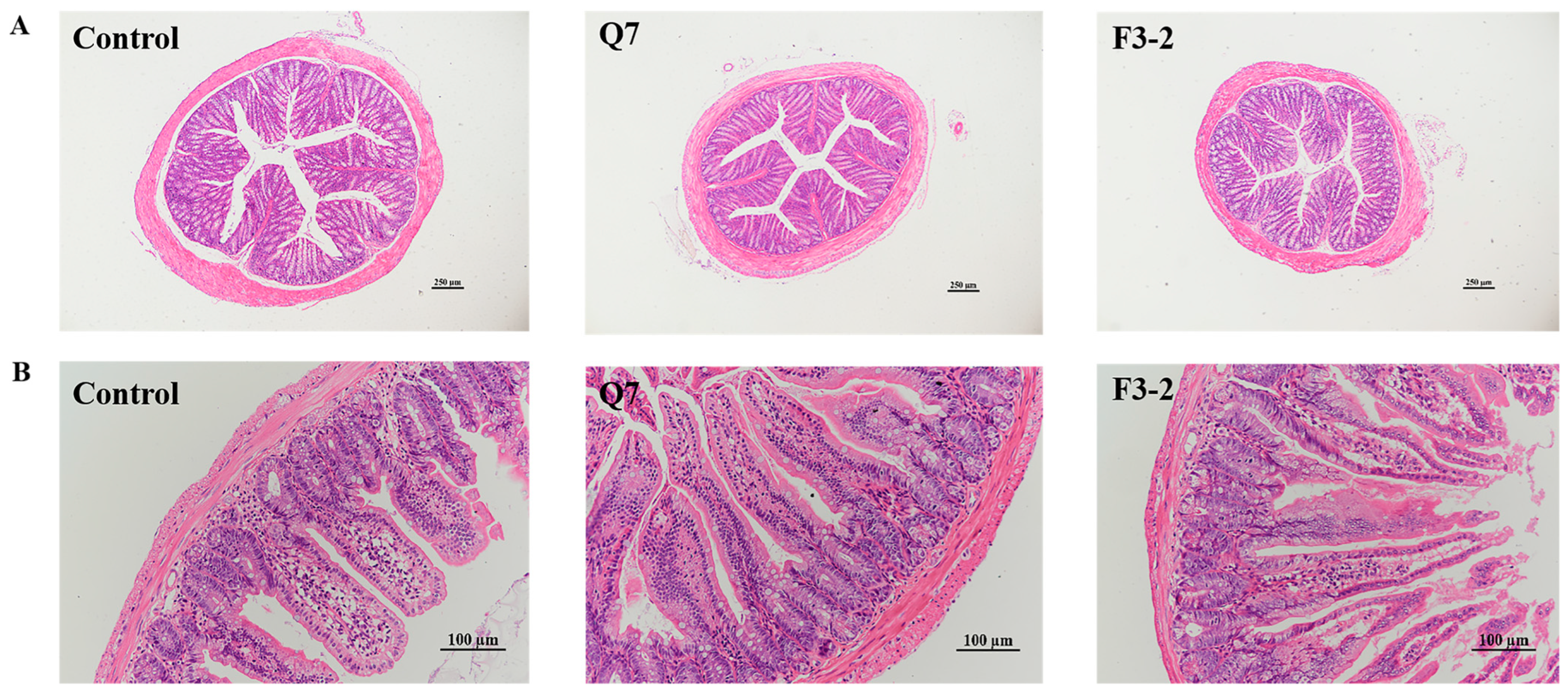 Nutrients 15 03518 g003
