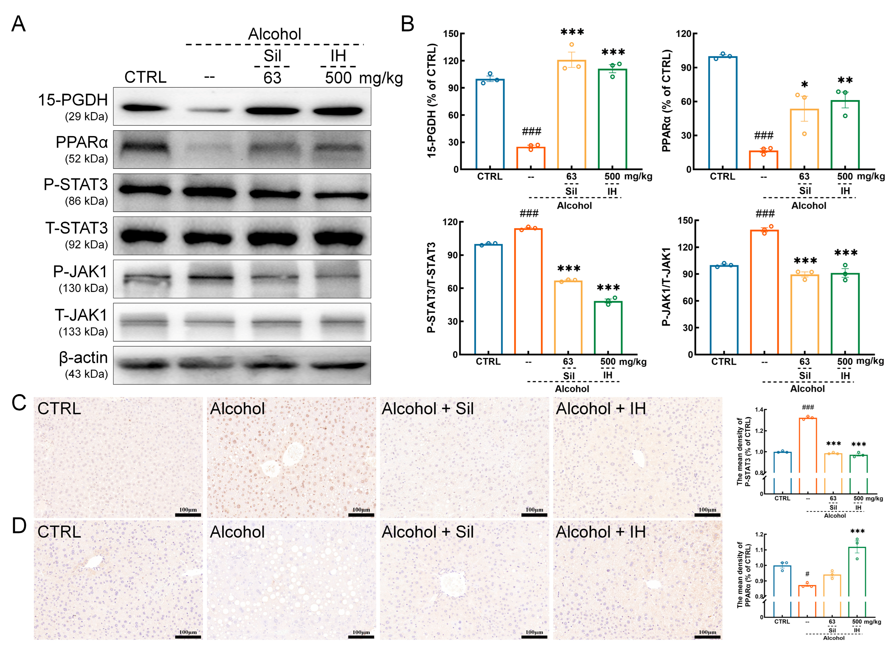 Nutrients 15 03530 g005