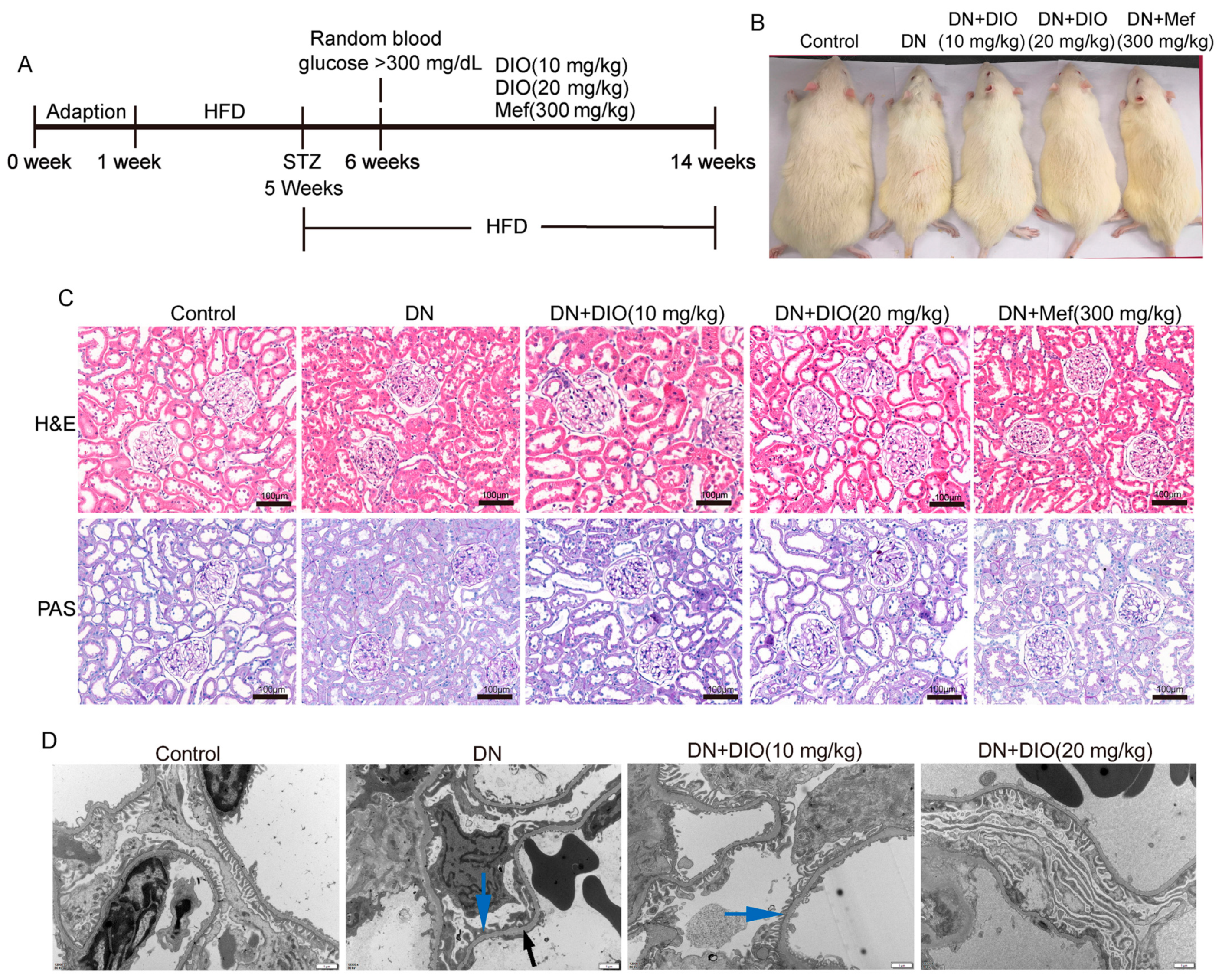 Nutrients 15 03554 g001