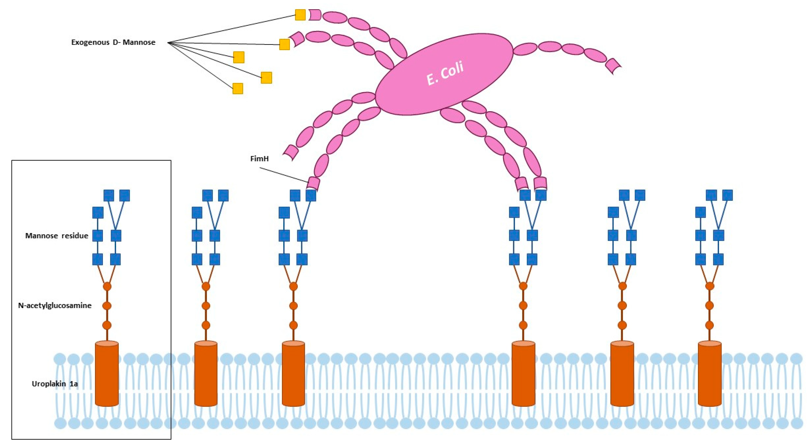Nutrients 15 03573 g002 Nutrients 15 03573 g002