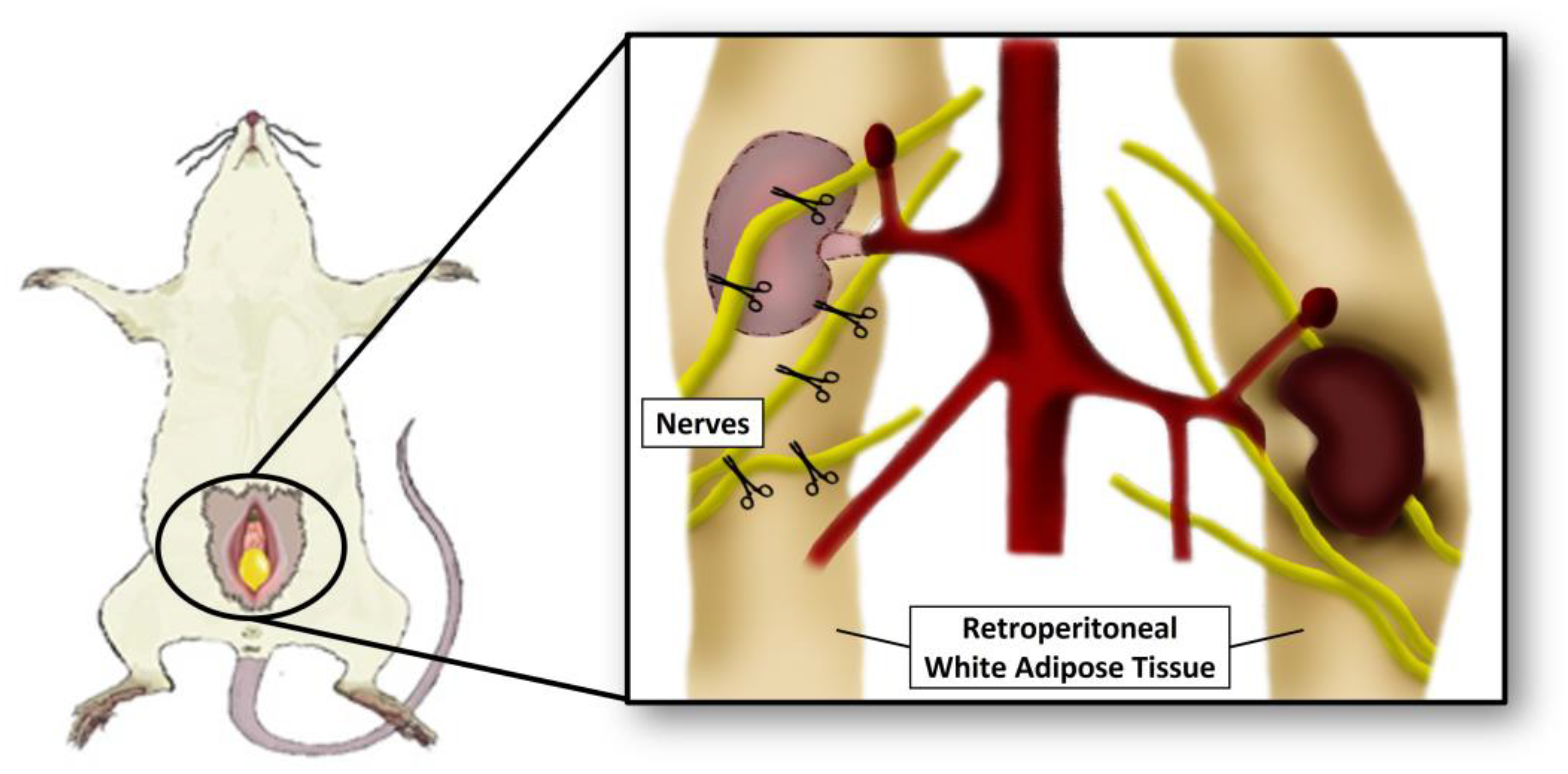 Nutrients 15 03574 g002