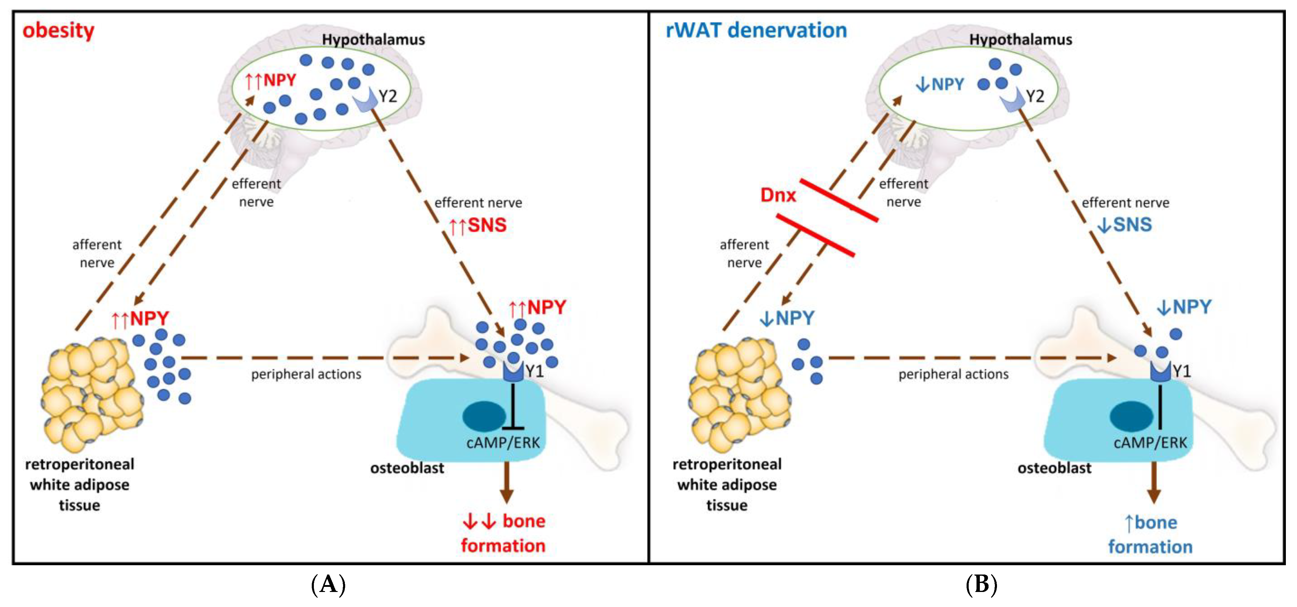 Nutrients 15 03574 g009