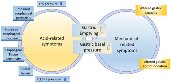 Nutrients Free Full Text Functional Food in Relation to