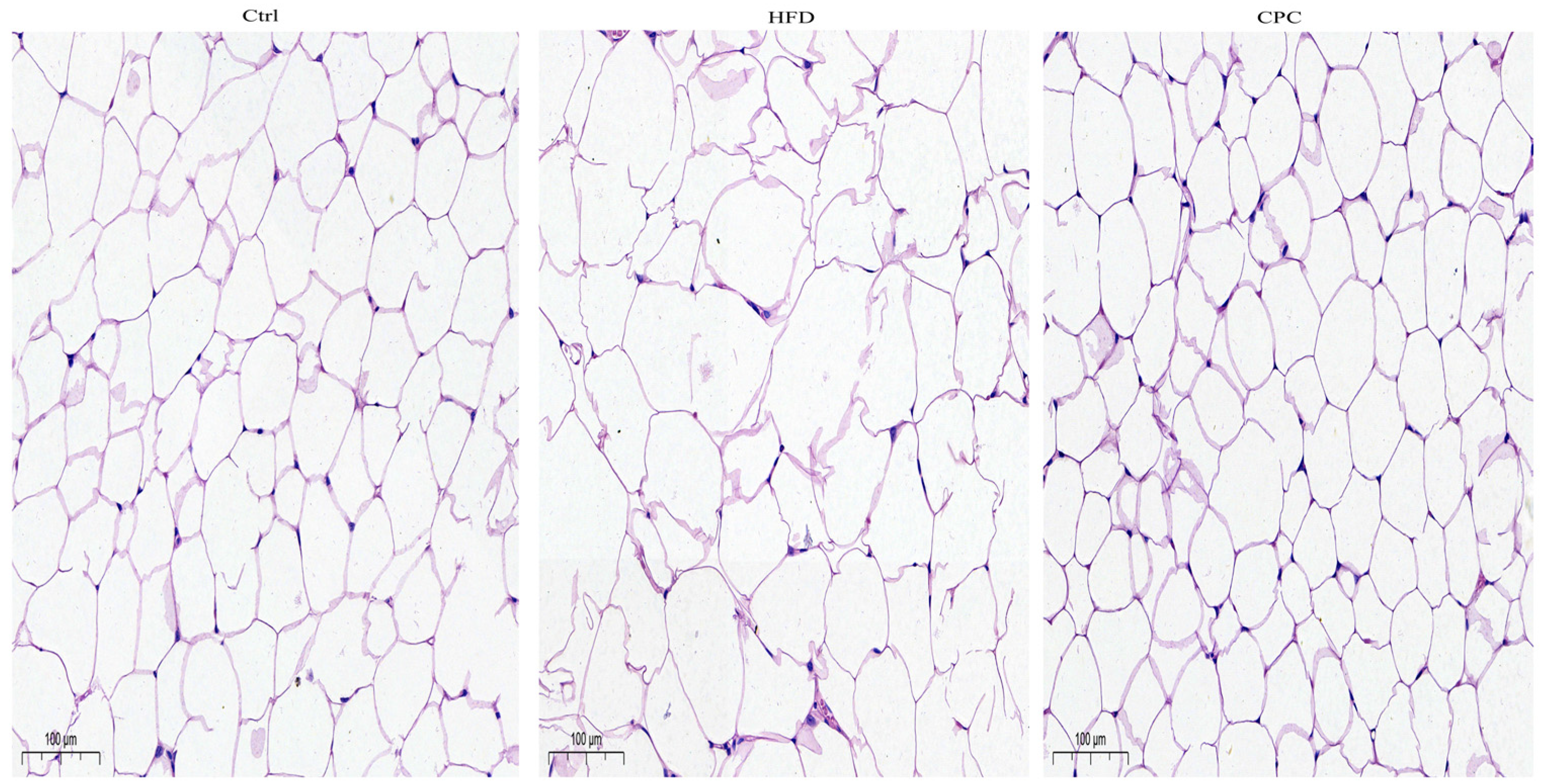 Nutrients 15 03642 g002