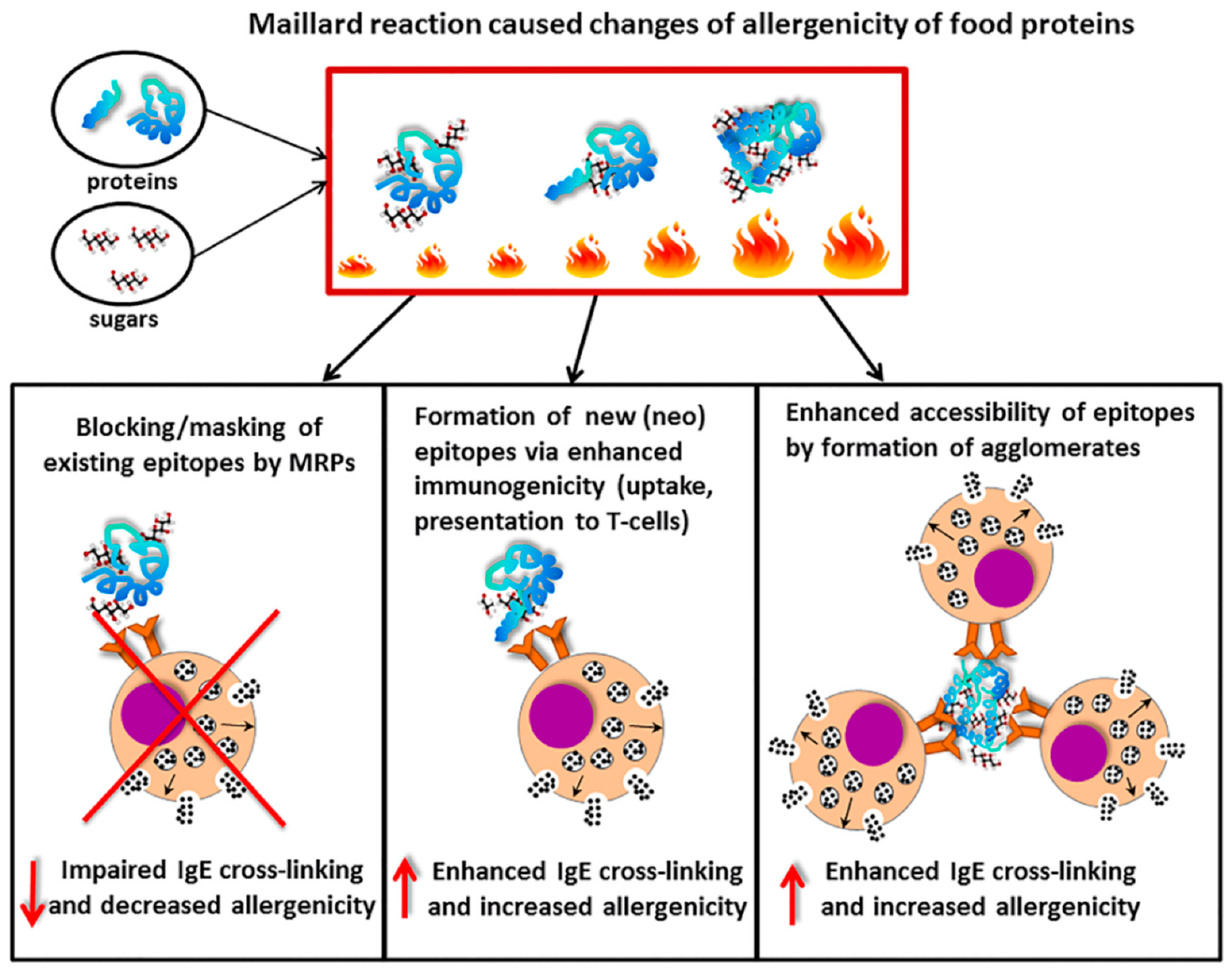 Nutrients 15 03650 g004