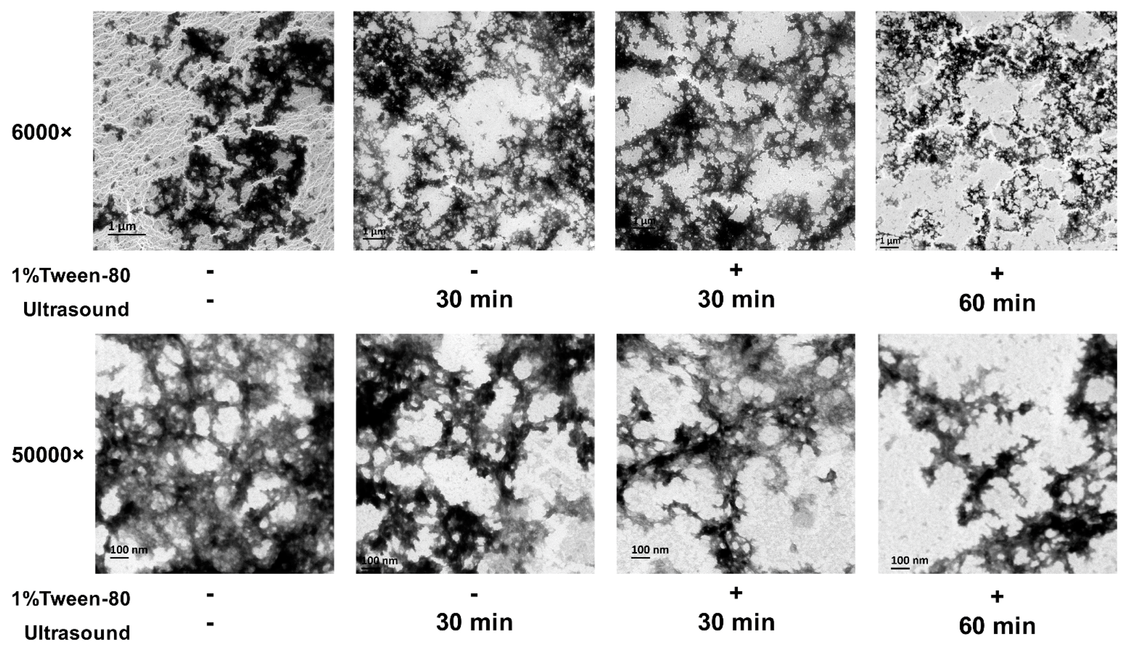 Nutrients 15 03650 g005