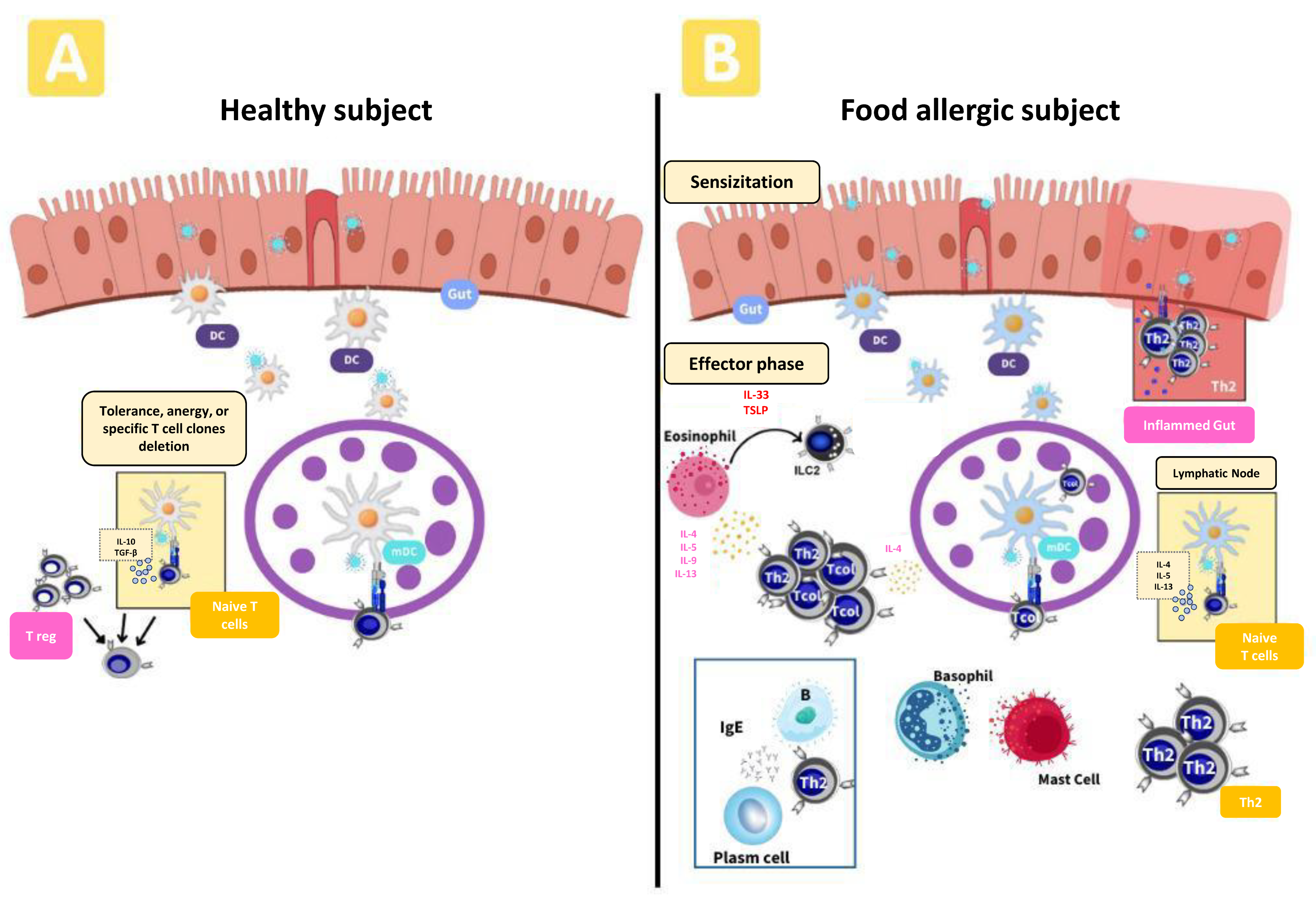 Nutrients 15 03744 g001