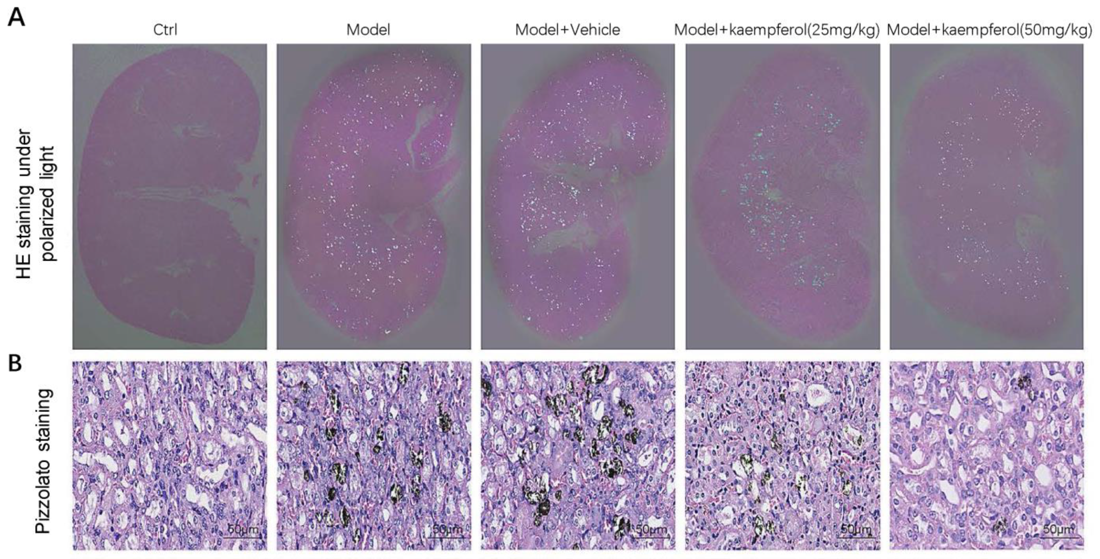 Nutrients 15 03753 g003