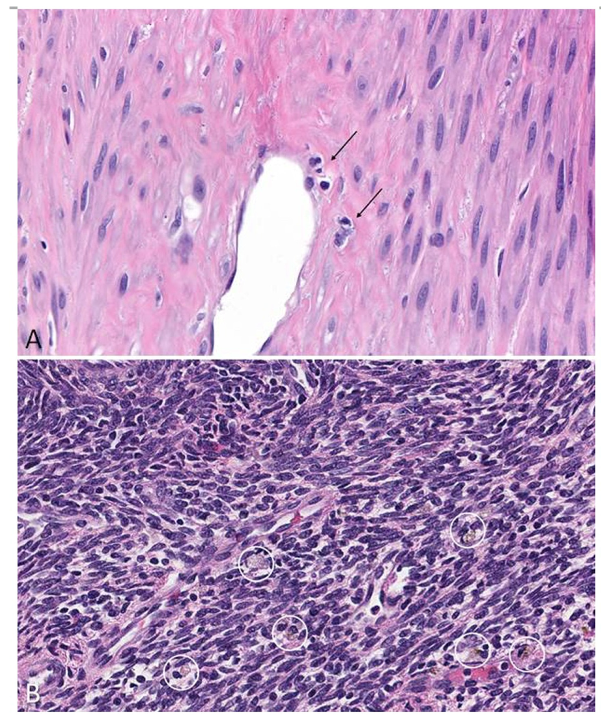 Nutrients 15 03760 g003