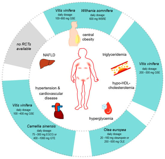 Nutrients | Free Full-Text | Targeting Metabolic Syndrome in ...