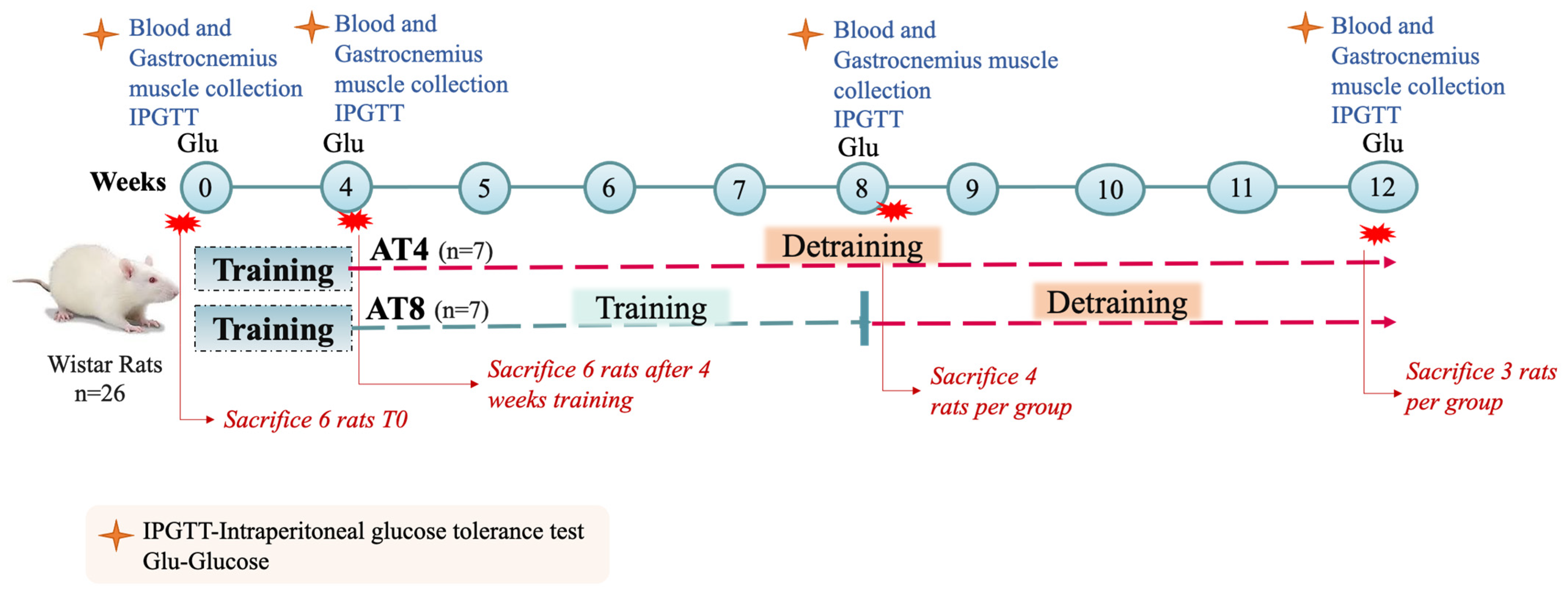 Nutrients 15 03820 g001
