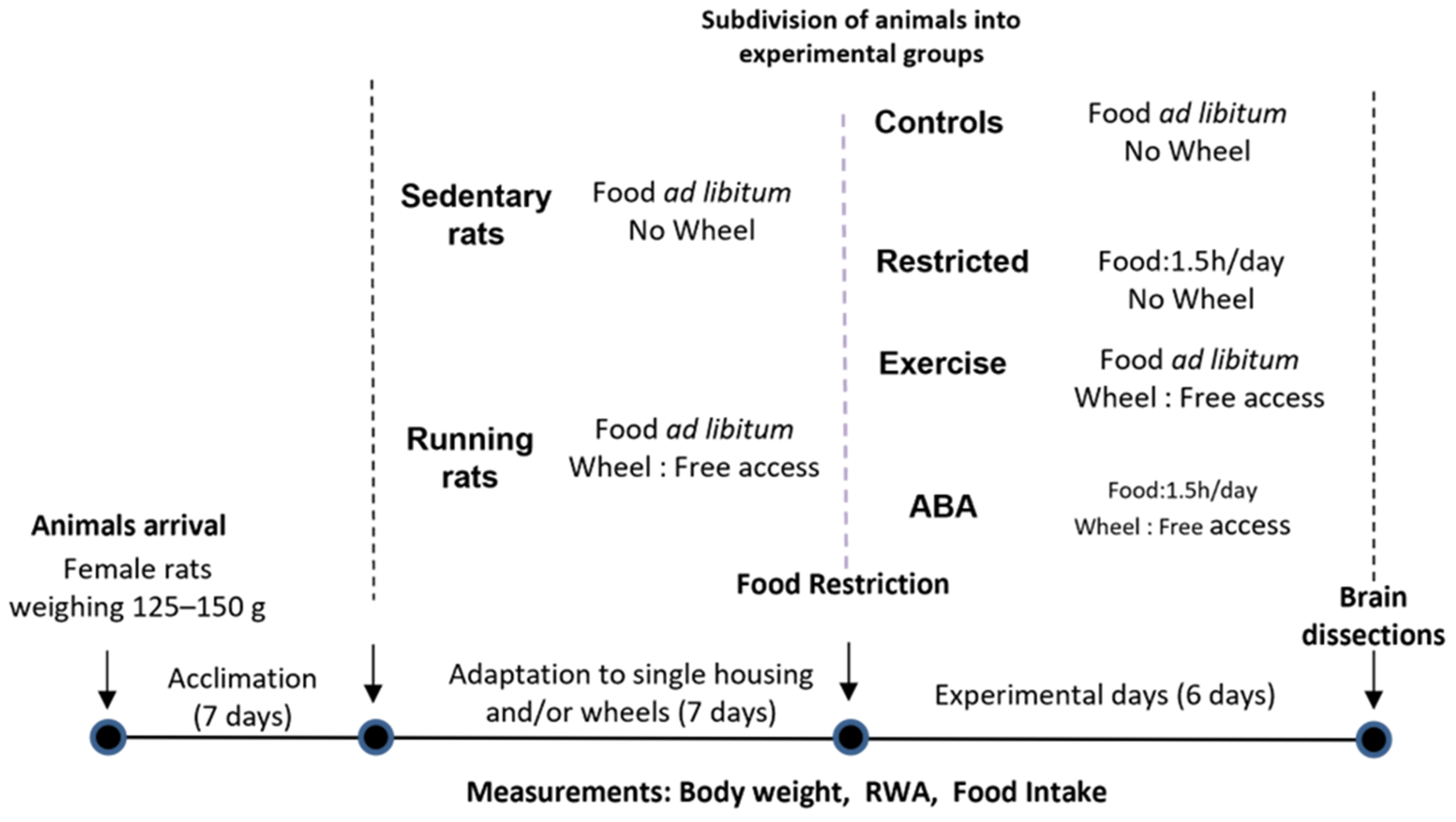 Nutrients | Free Full-Text | Induction of Activity-Regulated