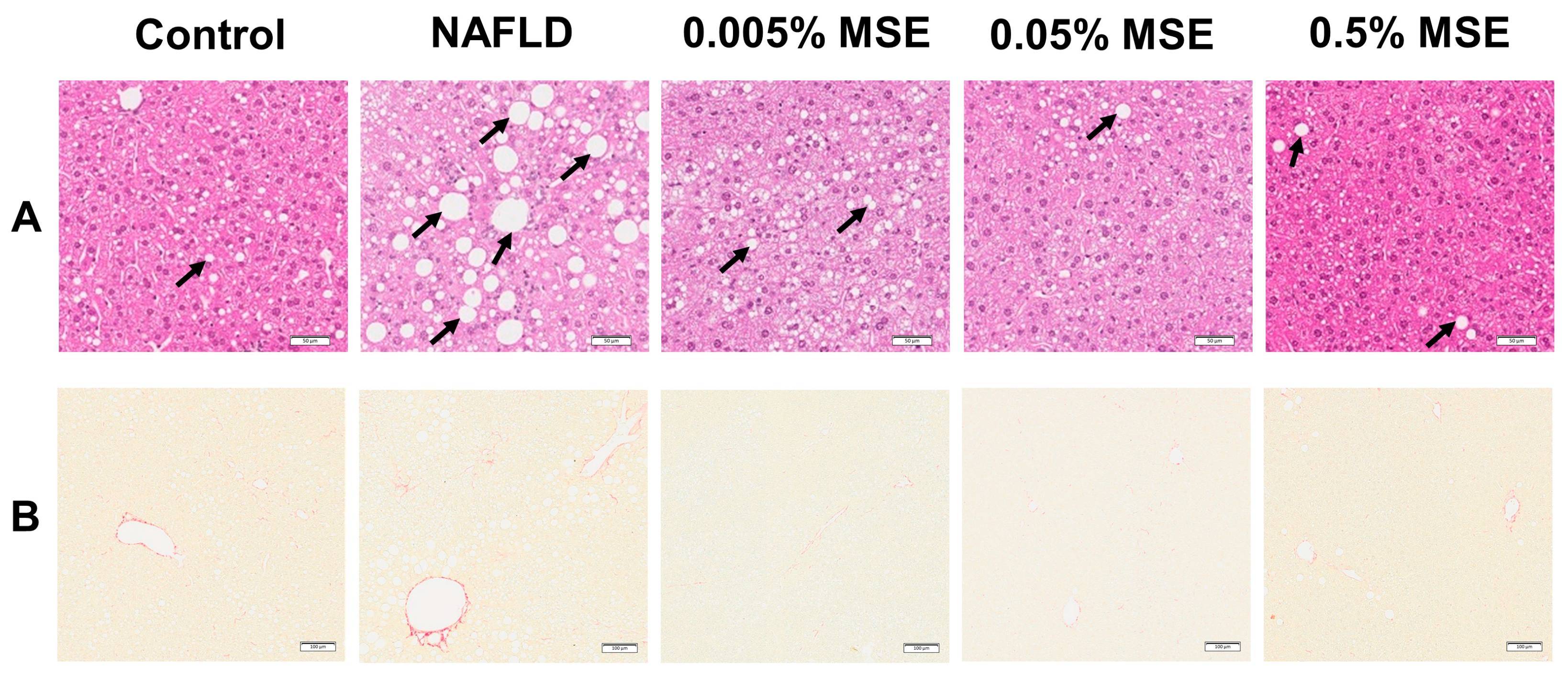 Nutrients 15 03888 g002